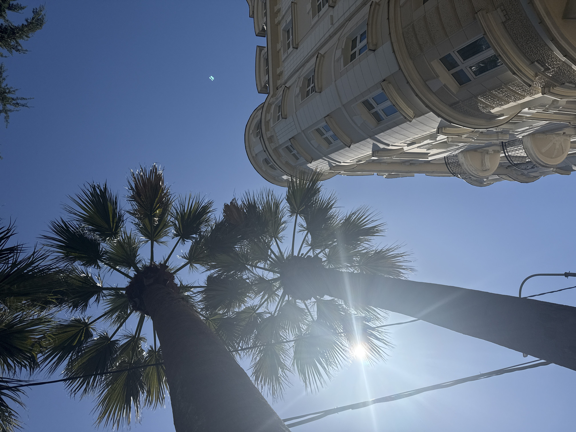 Viewed from a low angle, the image captures a city scene under a clear, blue sky. A section of an ornate, multi-story building dominates the upper right portion of the frame. The building features rounded architectural elements, multiple windows, and decorative details. Two palm trees stretch upwards from the lower portion of the frame, their fronds partially obscuring the view of the sky and the sun, which appears as a bright glare between the tree trunks. Power lines are visible extending diagonally across the lower right portion of the frame. The location is identified as the city of Unknown, Unknown.