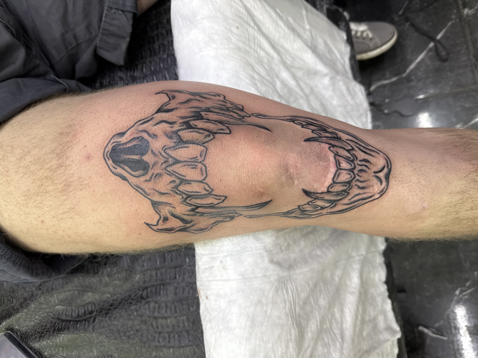 The image shows a person's leg with a black ink tattoo of a monster's mouth around the knee. The tattoo is detailed, with sharp teeth and a skull-like shape at the front of the mouth. The person is wearing gray pants or shorts. The background includes a gray textured surface and a white crumpled cloth. The location in Moscow, Russia, is not evident in the image.