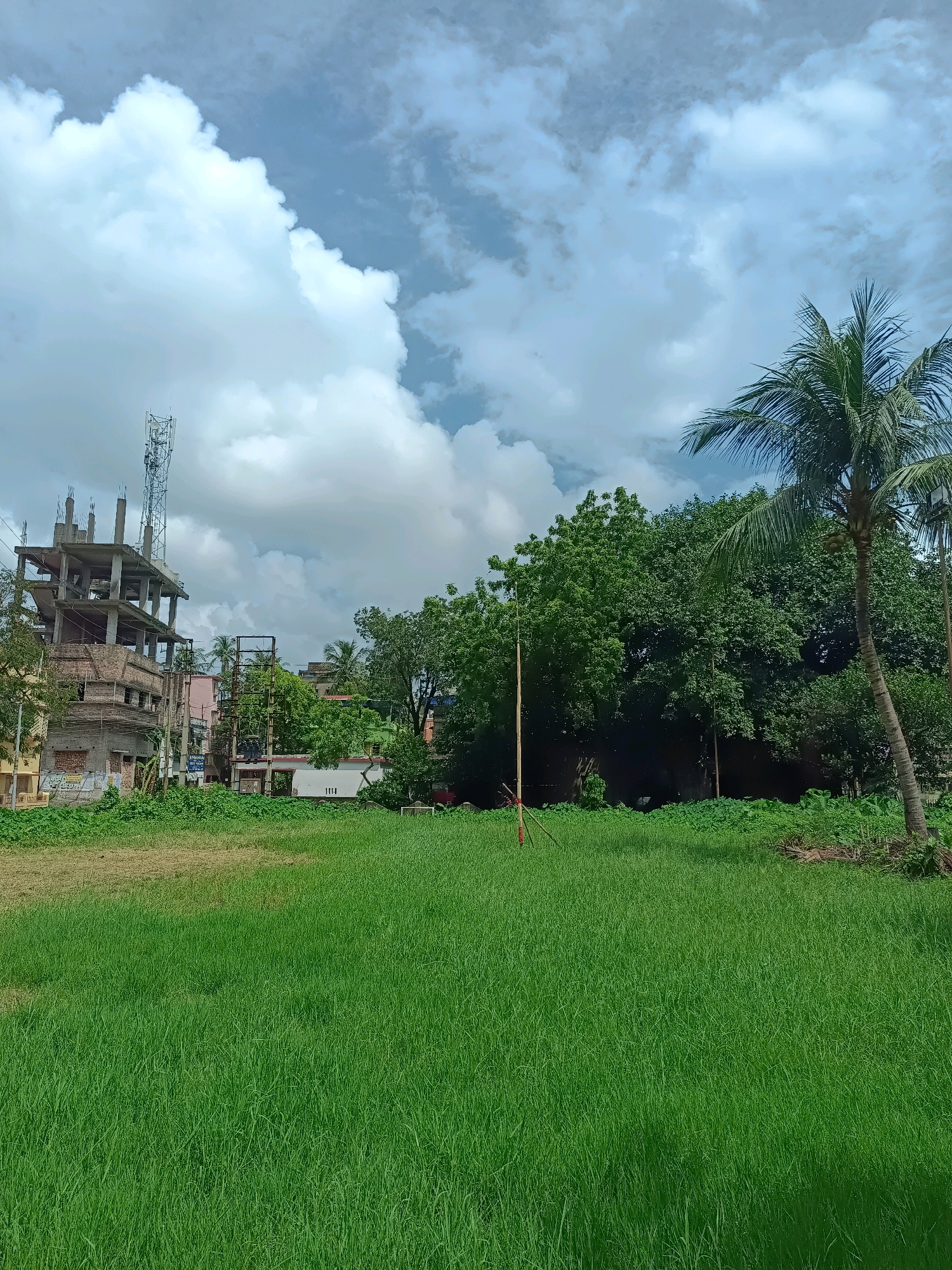 The image depicts an outdoor scene with a lush green field in the foreground. In the middle ground, there are several trees, some of which are tall and dense, providing a significant canopy. To the left, a multi-story building under construction is visible, with exposed concrete structures and rebar. A tall telecommunications tower stands behind this building. Further back, more buildings of varying heights and colors, along with more greenery, can be seen. A coconut palm tree is prominently featured on the right side of the frame. The sky is partly cloudy with large white cumulus clouds against a pale blue background. The scene suggests an urban or semi-urban environment in Kamarhati, India, likely during the daytime with moderate weather conditions.