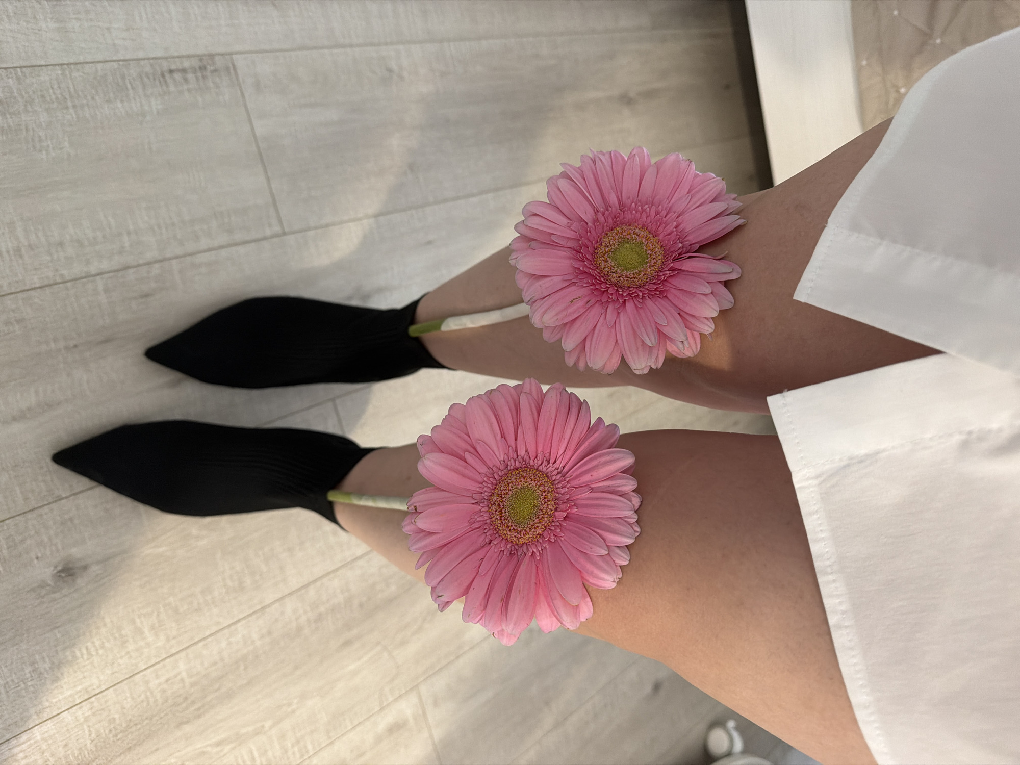 A high-angle shot shows a person's legs on a light wooden floor. The person is wearing black pointed-toe sock boots and a white shirt. Two pink gerbera daisies with green stems rest on the person's thighs. The location is unknown and is not necessarily Votkinsk, Russia.