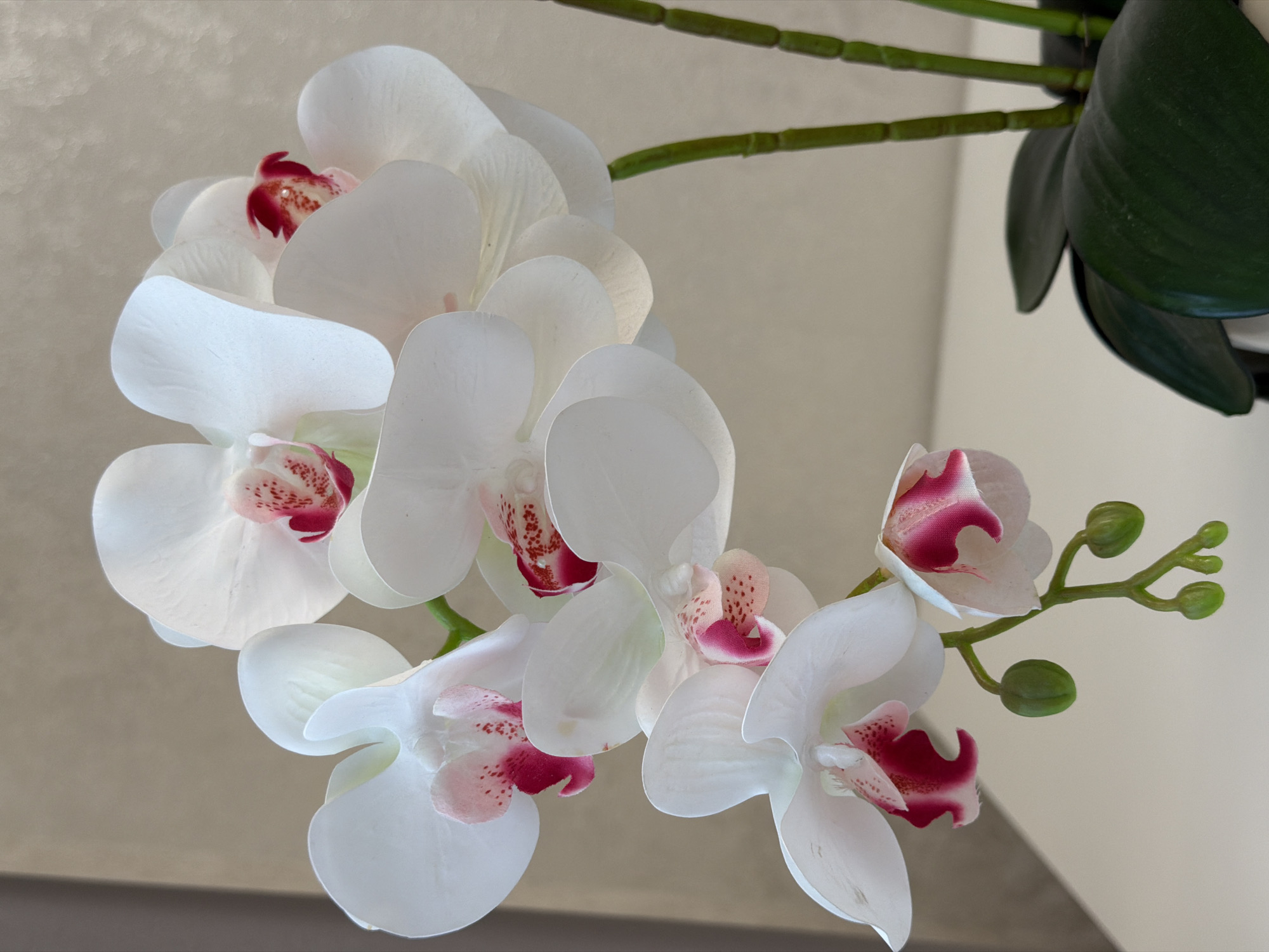 A close-up, vertical, eye-level shot features a cluster of white artificial orchids with pink and red centers. The orchids are arranged on green stems, with several buds visible below the blooming flowers. In the lower right corner, dark green artificial leaves and a portion of a pot are visible. The background is a plain, neutral color. The scene is set on a white surface. There are no people or animals present. The lighting is soft and diffused, creating subtle shadows.
