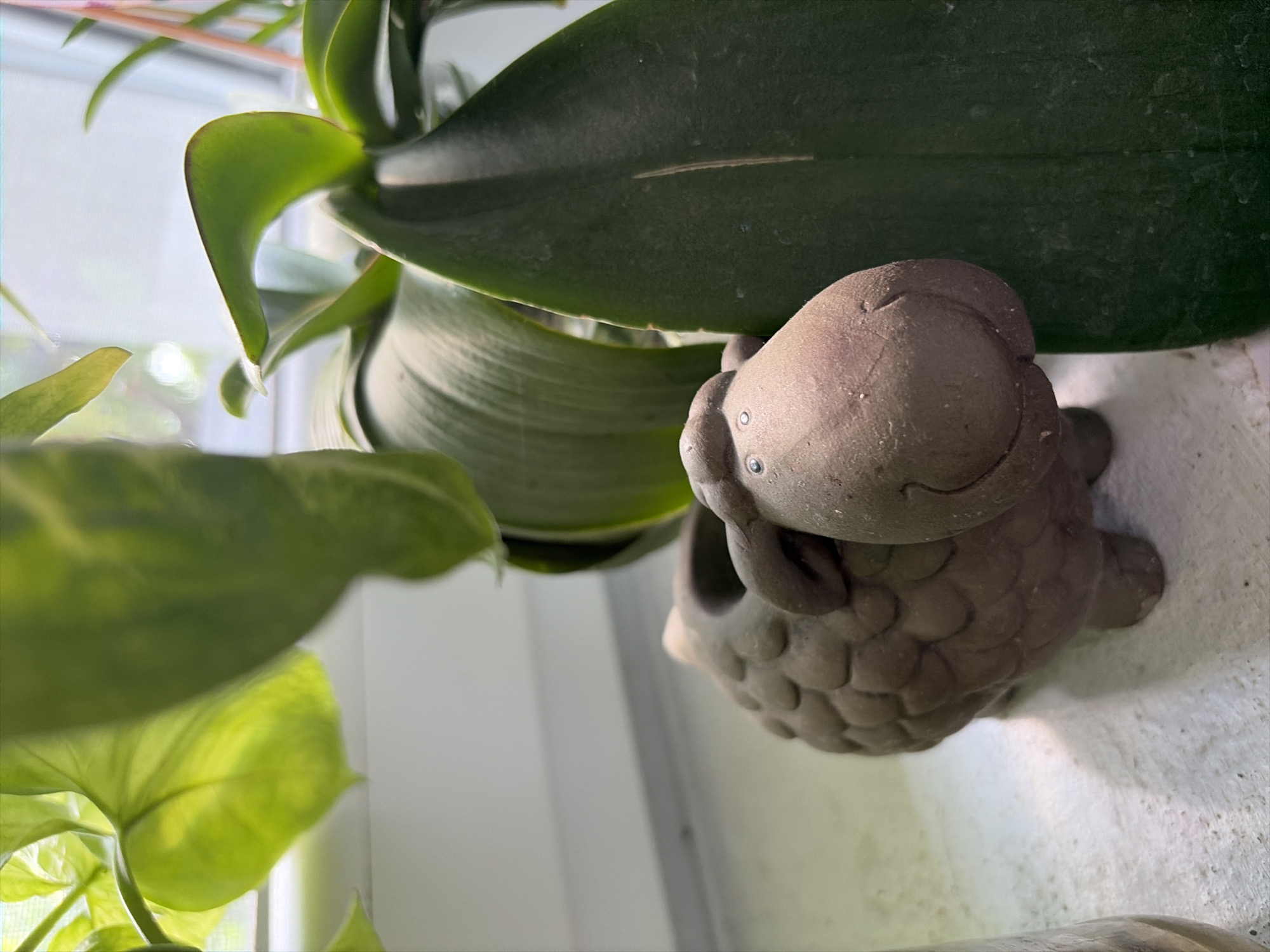 A close-up, eye-level shot focuses on a small, decorative ceramic sheep planter nestled amongst lush green foliage, likely on a windowsill in a home located in Oxentea, Moldova. The sheep planter, a light brown hue, has a textured woolly body and a smiling face with two dots for eyes. It is positioned on a white ledge that appears to be a windowsill. The background is dominated by the large, glossy green leaves of an indoor plant, which partially obscure the planter and the bright, diffused light coming from a window. The overall impression is one of indoor tranquility, with the natural light highlighting the textures and forms of the plant and the decorative object.