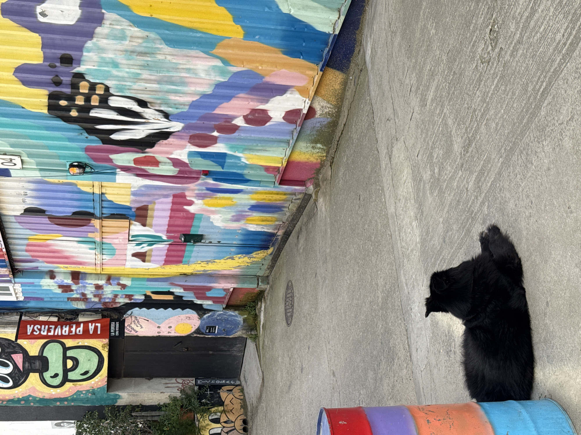 The image depicts a narrow alleyway in Barcelona, Spain, characterized by vibrant, colorful graffiti art adorning the walls. The artwork includes abstract patterns and cartoonish figures. A black dog sits on the ground in the alley. A stack of painted barrels with red, purple, blue and orange is also visible. The ground is concrete.