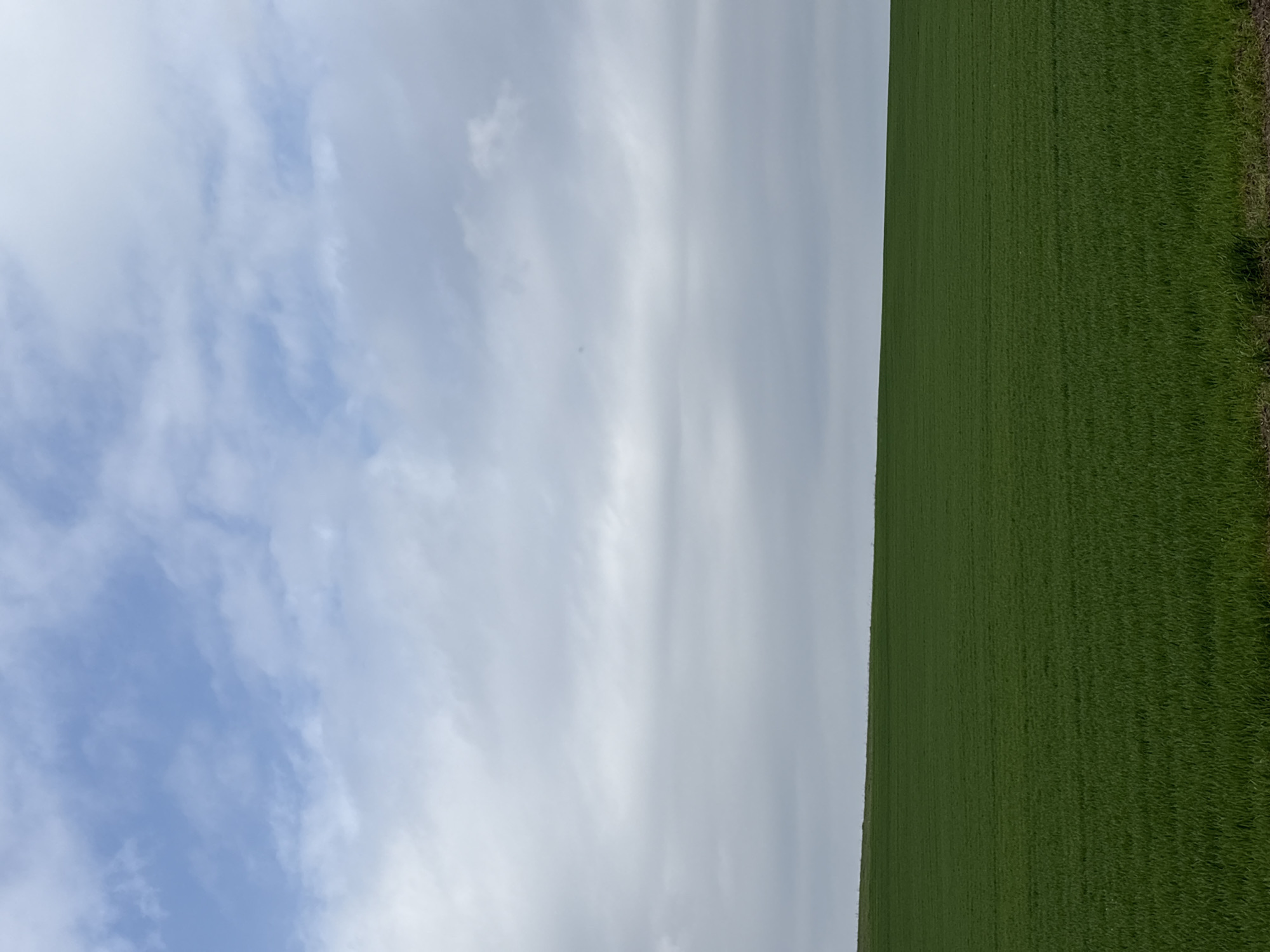 The image shows a view of a green field under a cloudy sky. The field occupies the right side of the frame, and the sky takes up the left side. The sky features a mix of light blue and white clouds. The field appears to be vast and stretches into the distance. There are no people or distinct objects visible in the field. The location is identified as Gradets, Bulgaria, but there are no specific markers to confirm this. The image lacks any discernible actions or interactions. The overall environment suggests a rural or agricultural setting.