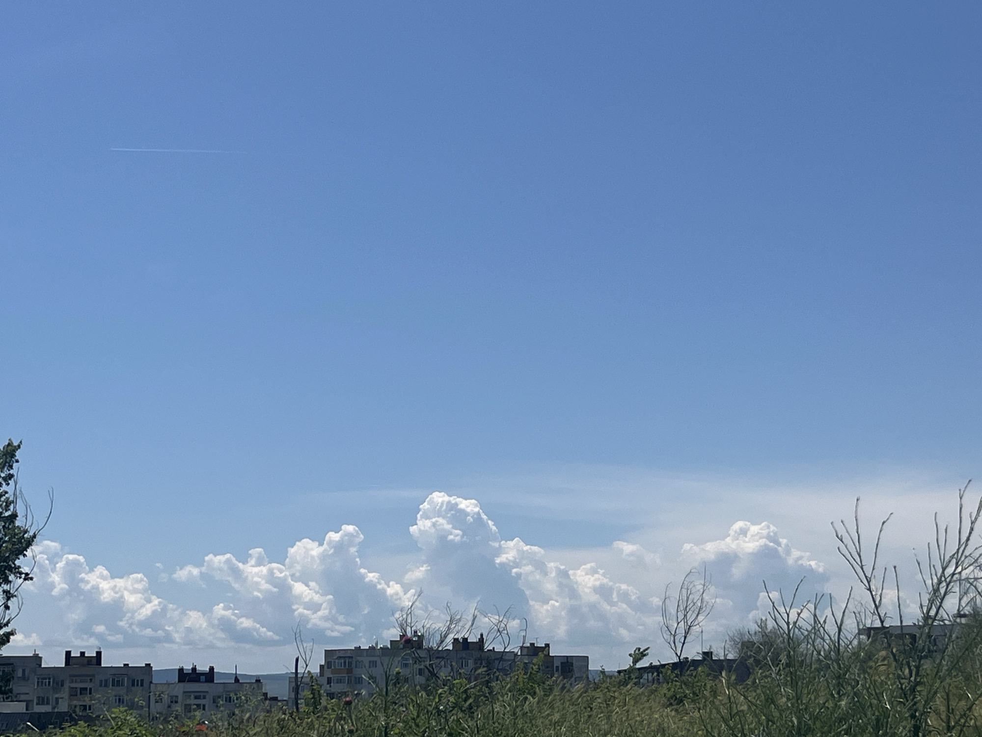 The image captures a bright, sunny day in Varna, Bulgaria. The sky is a clear, vibrant blue, with a faint contrail from an airplane visible in the upper left quadrant. The middle ground features a line of low-rise apartment buildings, characterized by their multi-story, utilitarian architecture. In the foreground, lush green vegetation, including grasses and some leafy bushes, partially obscures the buildings. Scattered amongst the vegetation are dry, twig-like branches. The overall impression is of a residential area on the outskirts of the city, bathed in natural light.