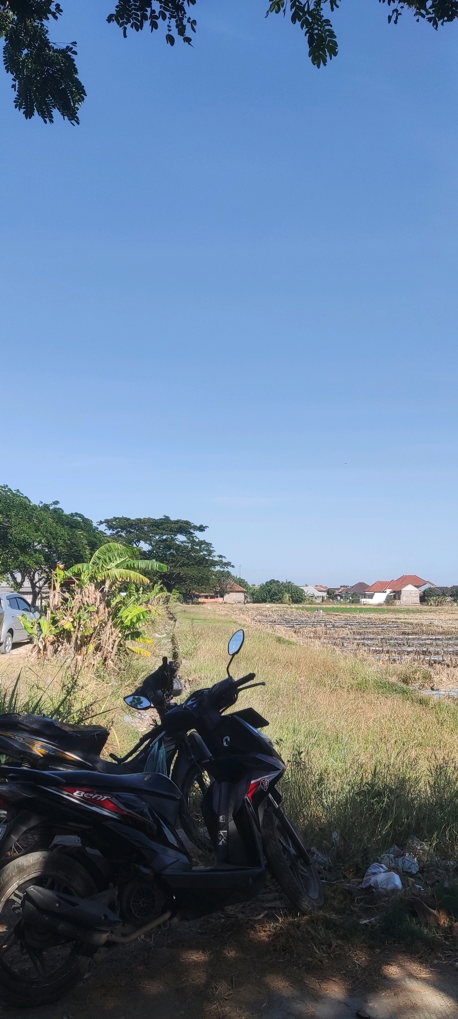 The image depicts a daytime scene with a clear blue sky and a wide view of a rural landscape. In the foreground, two black motorcycles are parked on a patch of dry grass and dirt. The motorcycle on the right is more prominently featured, showing its front wheel, handlebars, and part of the body. The motorcycle on the left is partially obscured by the one on the right.
Beyond the motorcycles, the terrain transitions into a field of dry, yellowish-brown grass, suggesting a dry season. In the middle ground, there are rows of what appear to be planted crops, possibly rice paddies that have been harvested, with some remaining stubble. Further back, a cluster of houses with red tile roofs and some brick structures are visible, indicating a small settlement or village. Trees, including banana plants and larger deciduous trees with green foliage, are scattered throughout the landscape, providing a contrast to the dry fields. A silver car is parked on the left side of the image, near the trees.
The overall impression is one of a quiet, rural area in Gebang Kulon, Indonesia, likely during the dry season. The scene is tranquil, with no people visible. The presence of the motorcycles suggests human activity, but the immediate surroundings appear unoccupied. A small amount of litter, including plastic bags, is visible on the ground to the right of the motorcycles. The lighting indicates it is likely morning or late afternoon, given the soft shadows.