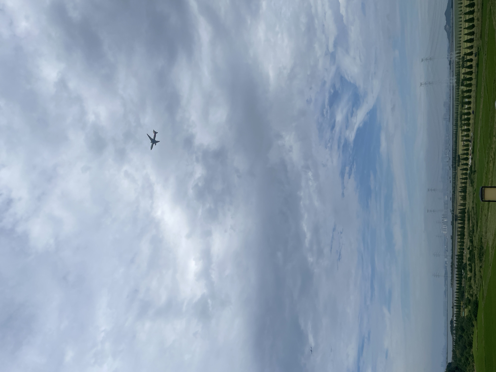The image depicts a wide, slightly overcast sky over a landscape that includes a body of water, a line of trees, agricultural fields, and distant city infrastructure with power lines, suggesting an urban periphery location. Two airplanes are visible in the sky. One is positioned high in the upper center of the frame, and the other is a smaller silhouette in the lower left quadrant. The landscape includes green fields in the foreground, a line of tall, dark green cypress trees running horizontally across the middle ground, and beyond that, a hazy vista of buildings, industrial structures, and power transmission towers stretching towards the horizon, possibly on the outskirts of the city of Ansan, South Korea. The weather appears to be cloudy, with patches of brighter sky visible.