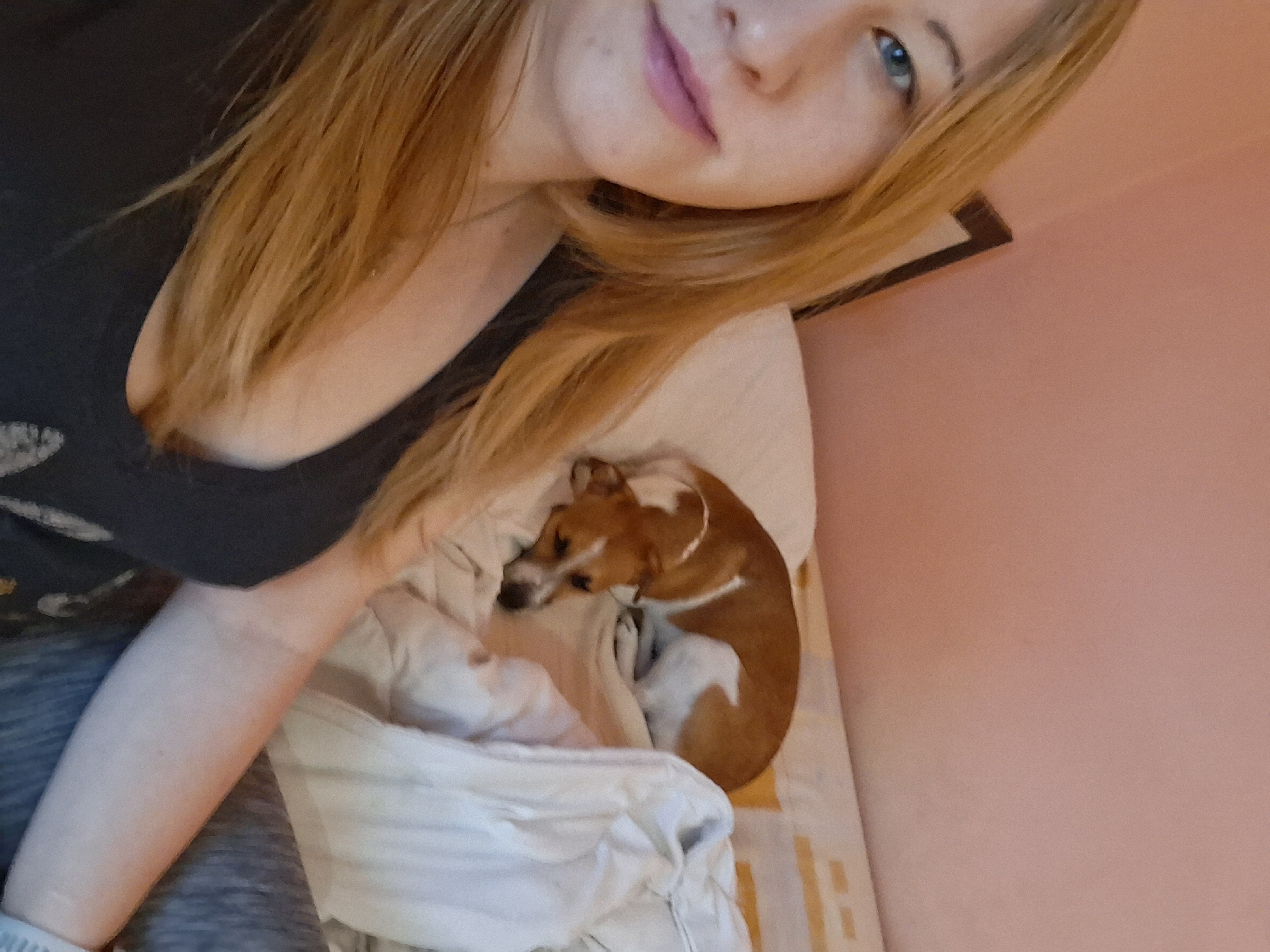 An indoor selfie captures a young woman and a sleeping dog in what appears to be a cozy bedroom or living space. The woman, positioned in the foreground and top left, has long, light brown or blonde hair framing her face. Her blue eyes are visible, along with a slight smile on her lips, which have a hint of pink lipstick. She wears a dark-colored top and her left arm is visible, resting in the lower-left portion of the frame. Her skin tone is fair, with some freckles visible on her nose and cheek.
To her right and slightly below, a small, short-haired dog with brown and white fur is curled up, peacefully sleeping or resting on a white blanket. The dog's ears are perked slightly, and its nose is tucked into its body.
The background features a light pink or peach-colored wall on the right side of the image. The bedding or blanket the dog is on has subtle light yellow or orange patterned lines. The overall impression is one of a quiet and relaxed daytime moment shared between the woman and her pet. No visible text is present in the image. The location context is Zgorigrad, Bulgaria.