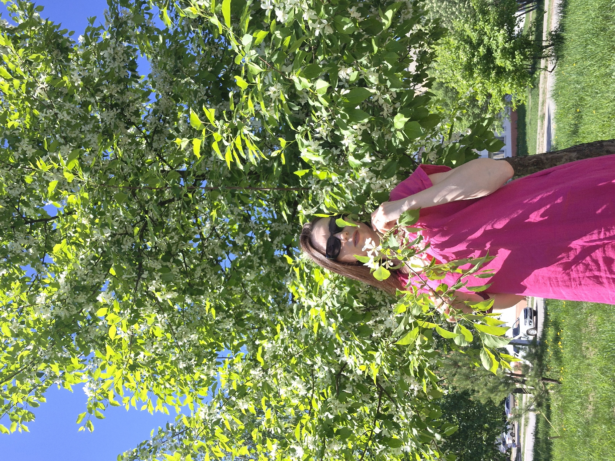 A woman in a pink dress stands beneath a flowering tree on a sunny day. She holds a branch of the tree in her hand. She wears sunglasses. The tree is in full bloom with white flowers and green leaves. In the background, there is green grass and a street with parked cars. The sky is blue. The location is a city, although the specific city is unknown.