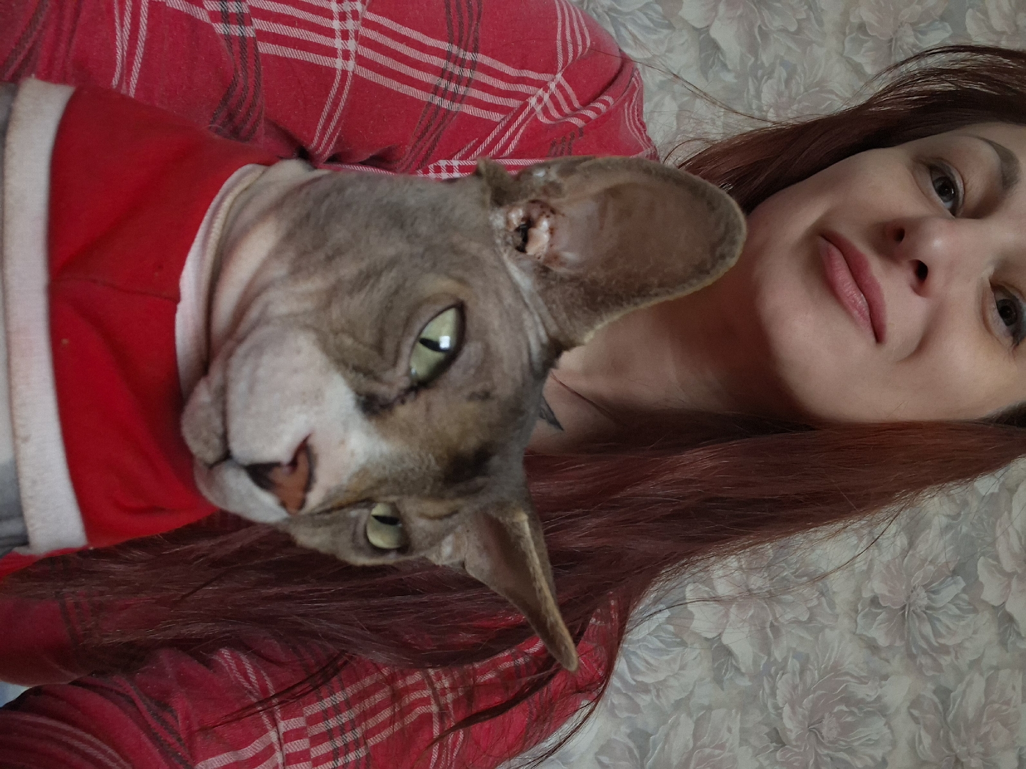 A woman with long, reddish-brown hair and light skin is holding a Sphynx cat. The woman is wearing a red and white plaid shirt. The cat is wearing a red garment with a white trim. The cat has light green eyes and a grey and brown coat. The background appears to be a wall with a floral pattern. The image was taken indoors, likely in a residential setting in Забалоцкі сельскі Савет, Belarus.