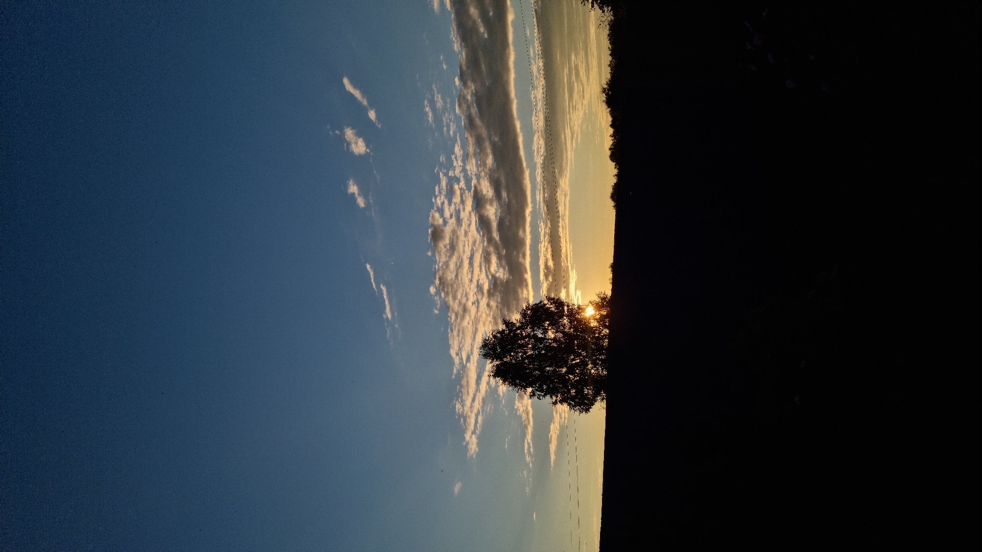 A lone deciduous tree stands silhouetted against a twilight sky, its branches appearing dark and dense. The setting sun, a bright orange orb, is partially obscured by the tree, casting a warm glow through its leaves and illuminating the scattered, wispy clouds above. The horizon is a dark, undulating line, suggesting a distant treeline or hilly terrain. A dark foreground, likely a field or embankment, stretches across the bottom of the image, devoid of detail due to the low light conditions. Faint, thin lines, possibly power lines, are visible stretching horizontally across the middle ground. The sky transitions from a deep blue at the top to a lighter, yellowish-orange near the horizon, indicative of the final moments of daylight. There are no people or animals visible in the frame. The image appears to be a landscape photograph captured at dusk.