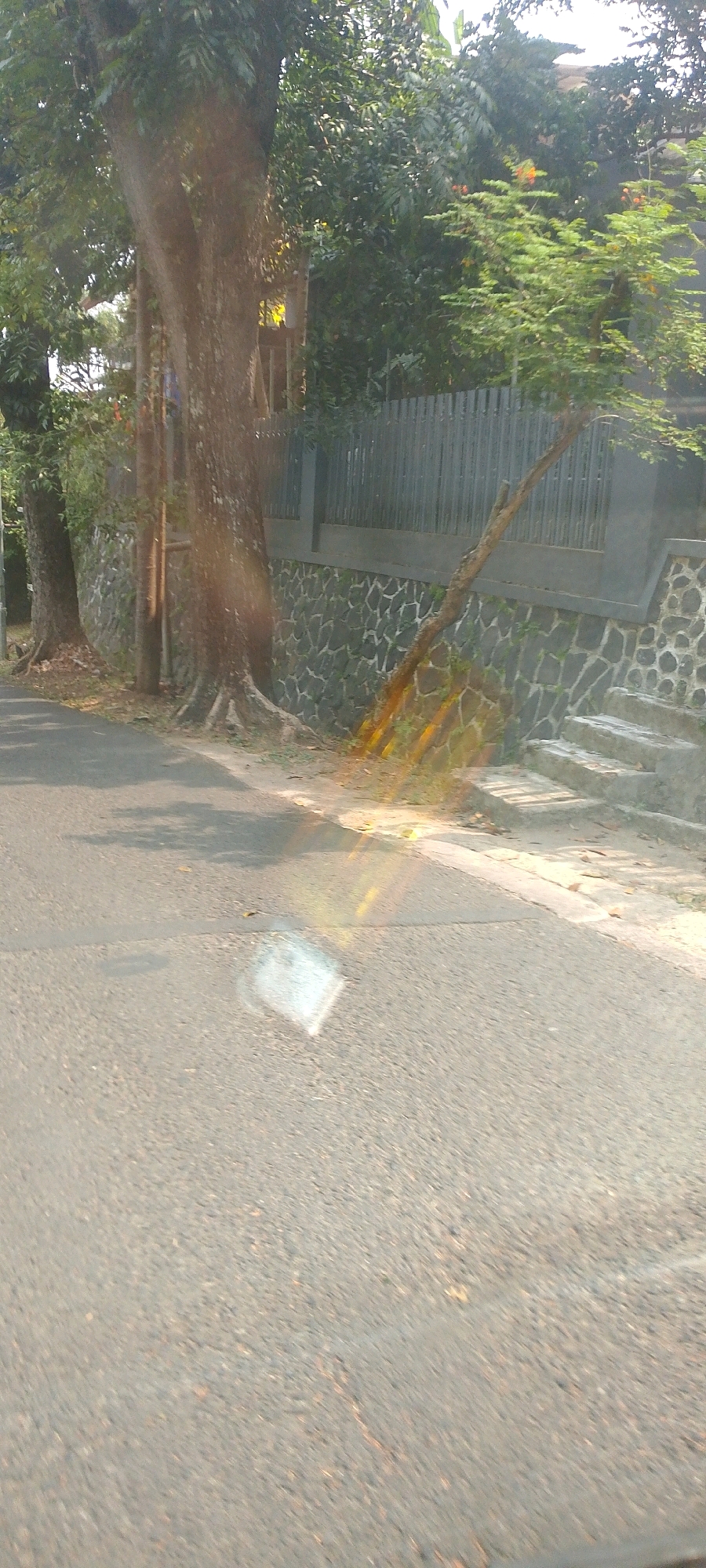 A low-angle, slightly blurry, vertical outdoor shot captures a roadside scene in Bandung, Indonesia. The foreground is dominated by a grey asphalt road with some texture and debris. A faint white rectangular shape is visible on the road, possibly a piece of paper or plastic debris, with sunlight glinting off it. Sunlight also creates lens flare effects, with yellow and orange streaks appearing on the road and wall.
The middle ground features a retaining wall constructed of dark, irregularly shaped stones. Behind the stone wall, there is a grey fence and some greenery. To the left of the stone wall, a large, thick tree with visible roots stands tall. Another smaller tree grows diagonally from the stone wall towards the right side of the image. Further behind the fence, lush green trees and foliage are visible, with some red flowers or fruits on a tree branch. The overall impression is one of a residential or natural area alongside a road.