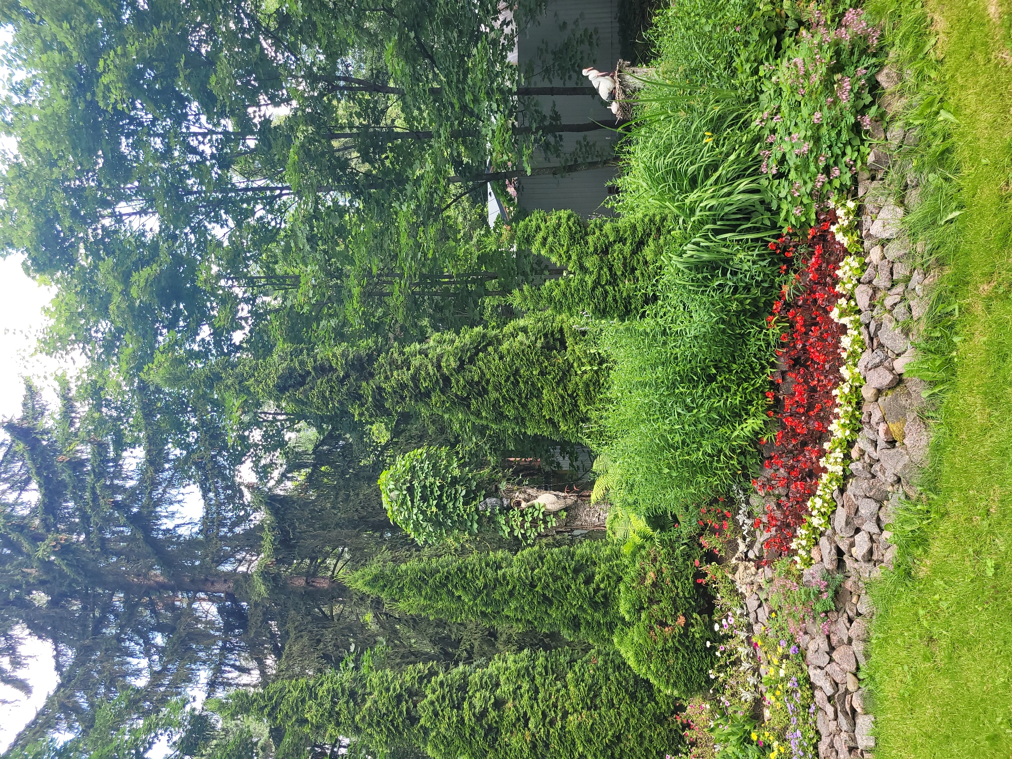 The image depicts a lush garden scene in Zelenogorsk, Russia. The foreground features a vibrant flower bed with red, white, and yellow blossoms, bordered by a stone wall. Lush green grass covers the lower portion of the frame. Behind the flower bed, various evergreen trees, including numerous cypress trees, create a dense, verdant backdrop. In the mid-ground, a weathered tree stump stands adorned with a pair of decorative white bird figures, one appearing to be a stork. To the right, another decorative stork figure is perched on a small nest atop a stone pedestal. Beyond the garden, a white building with a grey roof is visible through the trees. The overall impression is one of a well-maintained, naturalistic garden setting.