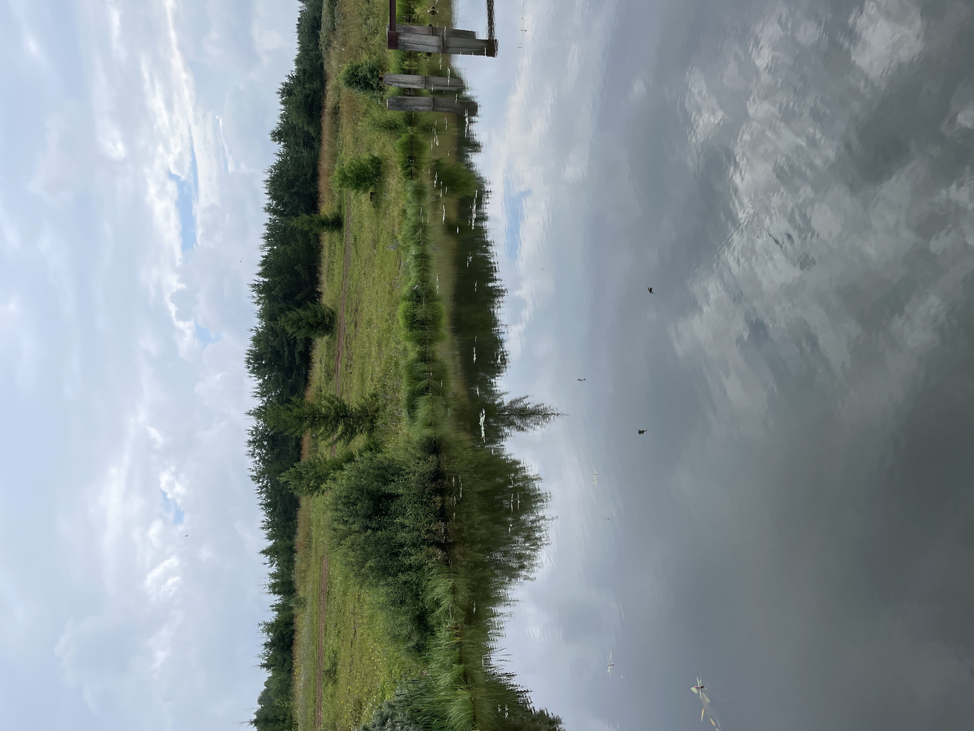 The image depicts a serene natural landscape with a calm body of water in the foreground. The water reflects the overcast sky and the lush green vegetation lining the bank. The bank is covered with grass, small bushes, and scattered trees, leading up to a dense line of evergreen trees in the distance. There are several concrete posts in the water on the right side of the image, suggesting a man-made structure or remnants thereof. The sky is cloudy, with patches of blue peeking through. The overall impression is one of tranquility and rural natural beauty.