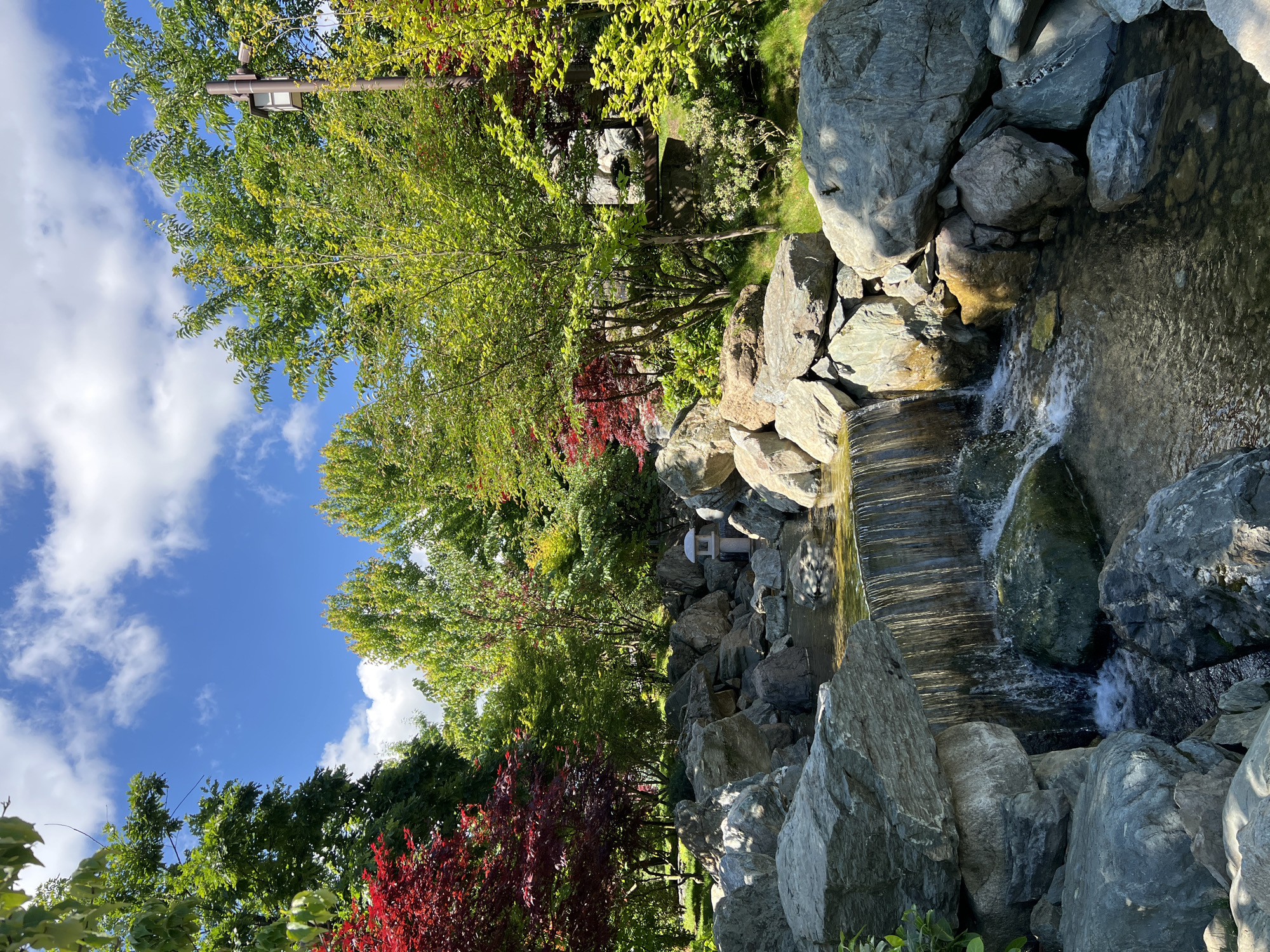 This image captures a vibrant and serene outdoor scene, likely a landscaped garden, featuring a prominent waterfall, large rocks, and lush vegetation under a bright sky. The perspective appears to be from a slightly elevated position looking down towards the water feature.
In the foreground and midground, a multi-tiered waterfall cascades over a series of dark, flat steps, creating foamy white water at its base. The waterfall is surrounded by numerous grey and brown rocks of varying sizes, some wet from the spray. Sunlight reflects brightly on the water's surface and parts of the rocks, casting clear shadows. A body of water, possibly a pond or stream, is visible below and to the side of the waterfall.
The background and upper portions of the image are dominated by dense foliage. Tall trees with bright green leaves fill the scene, some showing lighter green or yellow hues, indicating new growth or specific tree types. Interspersed among the green trees are striking clusters of trees with deep red leaves, possibly Japanese maples, adding a contrasting splash of color.
A clear blue sky with scattered white, fluffy clouds is visible overhead, suggesting a pleasant, sunny day. Among the trees, a traditional grey stone lantern can be spotted, reinforcing the aesthetic of a Japanese-style garden. Another detail includes a lamppost with a light fixture peeking through the canopy of green leaves.
No people are visible in the scene, and there is no discernible text. The overall impression is one of tranquility and natural beauty within a meticulously designed garden, set during a bright day in Krasnodar, Russia.