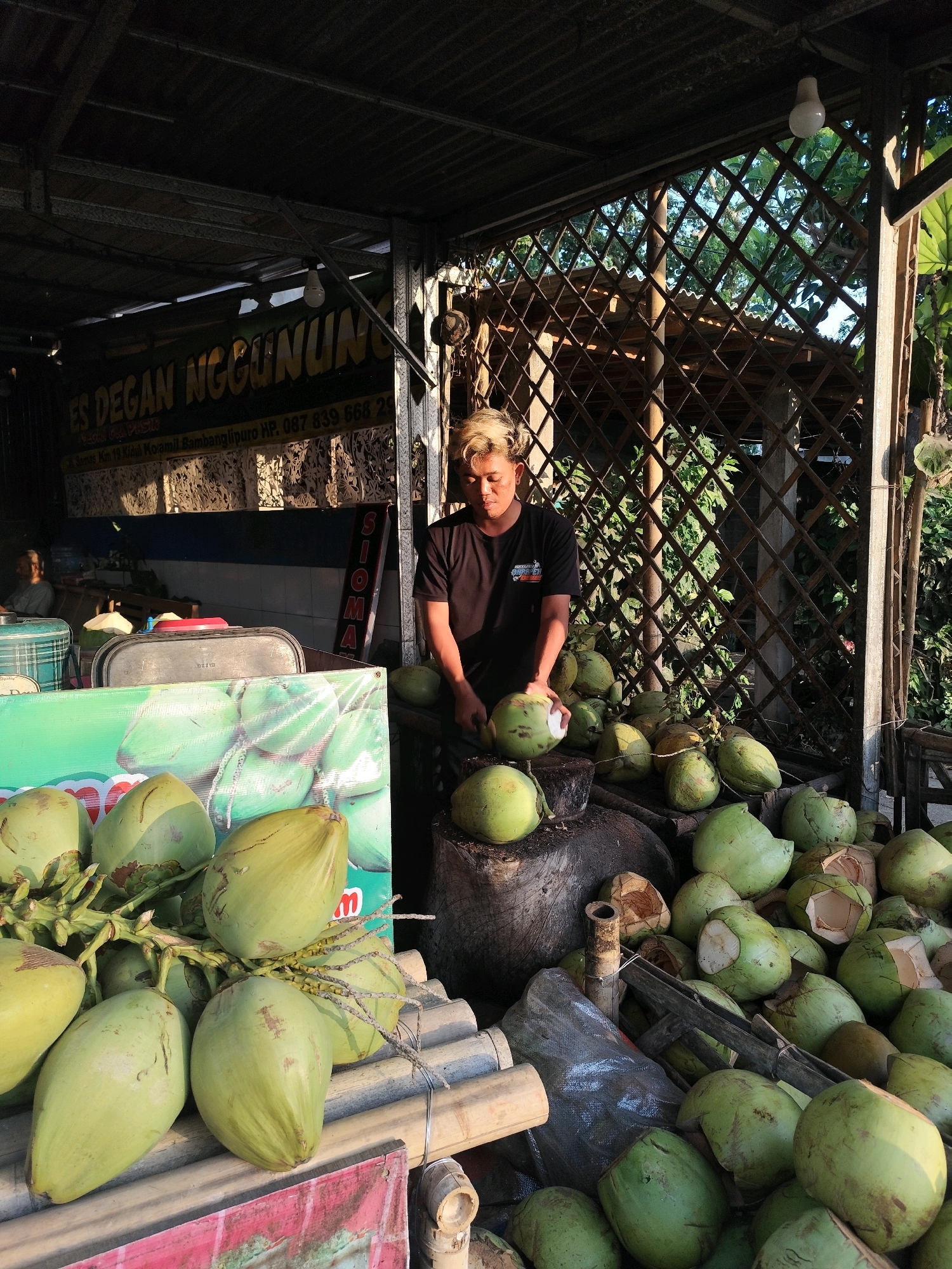 In Bambanglipuro, Indonesia, a young man with blond-highlighted hair is seen preparing coconuts at an outdoor stall. He wears a black t-shirt and is in the process of cutting a coconut, holding it with his left hand while a knife is implied to be in his right. The stall is covered by a corrugated metal roof supported by metal beams, creating a shaded area. A banner with the text "ES DEGAN NGGUNUNG" and a phone number "087 839 668 2" is visible in the background, indicating the name of the business.
In the foreground, a large display of green coconuts is arranged on a surface, some still on their stems, and others neatly stacked. Behind the man, more coconuts are piled up, some of which have been opened. The environment appears to be a roadside market or a small shop, with a lattice-like wooden fence in the background and lush green foliage suggesting a tropical setting. A lightbulb hangs from the ceiling. Further in the background, another person is visible sitting, possibly a customer or another vendor. The scene is bathed in warm sunlight, casting distinct shadows.
