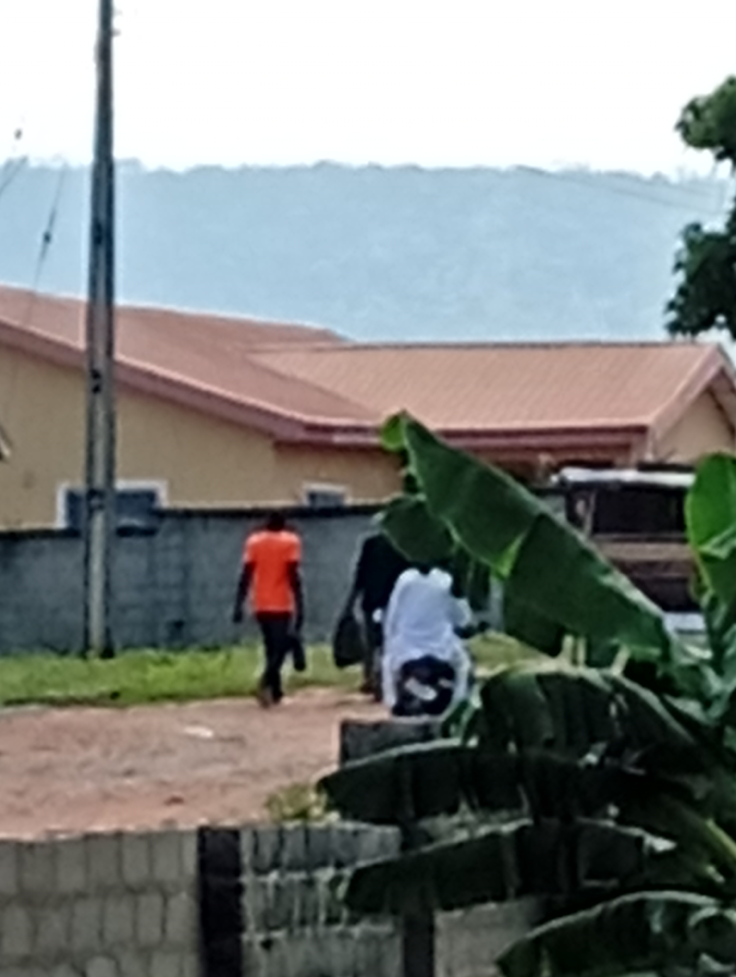 A medium-shot photograph shows a street scene in what appears to be a residential area. In the foreground, large green leaves, likely from a banana tree, dominate the lower right portion of the frame. Behind the leaves, a dirt road is visible, leading to a low brick wall. A utility pole stands on the left side of the image.
Further back, a light-colored building with a reddish-brown tiled roof is prominent. A gray concrete wall runs along the front of the building.
In the middle ground, three individuals are visible. Closest to the viewer on the left is a person wearing an orange t-shirt and dark pants, walking away from the camera. To their right, another person, mostly obscured by the orange-shirted individual, is also walking. Further to the right, a person in a white garment is seated on what appears to be a motorcycle. A vehicle, possibly a van, is partially visible behind this individual.
The background features a hazy, pale blue sky and a distant, undulating landscape, likely hills or mountains, shrouded in mist. The overall impression is a casual outdoor scene in a somewhat rural or suburban setting.