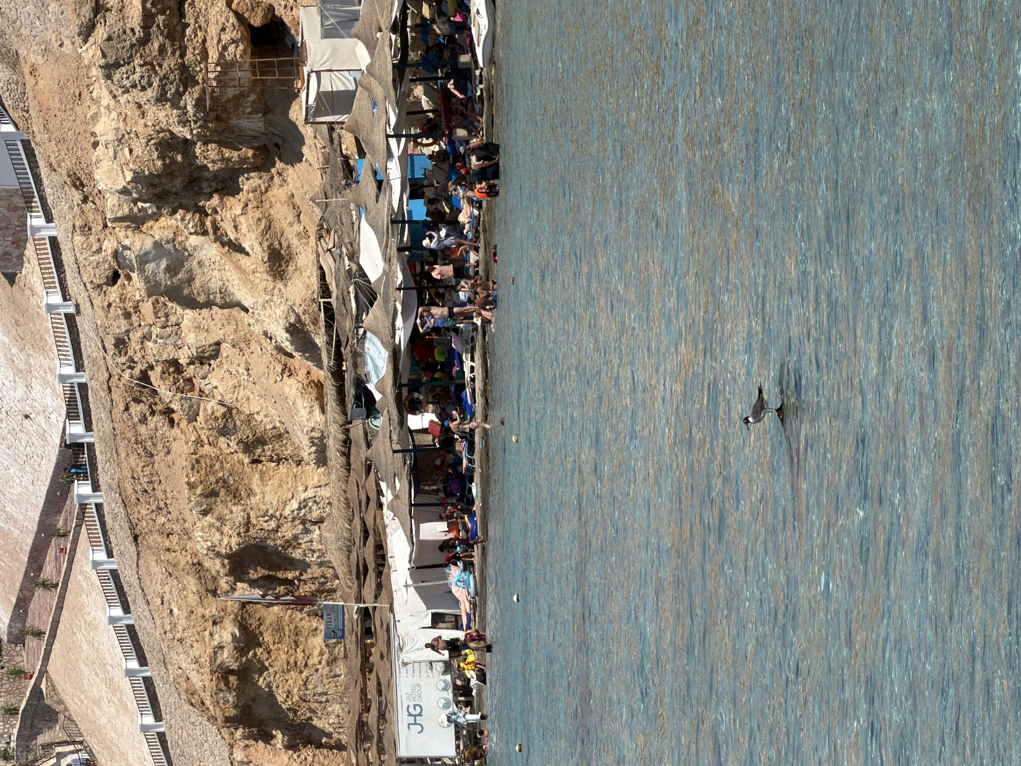 A sunny beach scene in Sharm El Sheikh, Egypt, features a shoreline lined with thatched umbrellas and lounge chairs, where numerous people are relaxing and swimming. A rocky cliff face rises behind the beach, adorned with tiered stone pathways and white railings. The clear turquoise water in the foreground reflects the bright sunlight, and a single bird stands on a submerged rock.