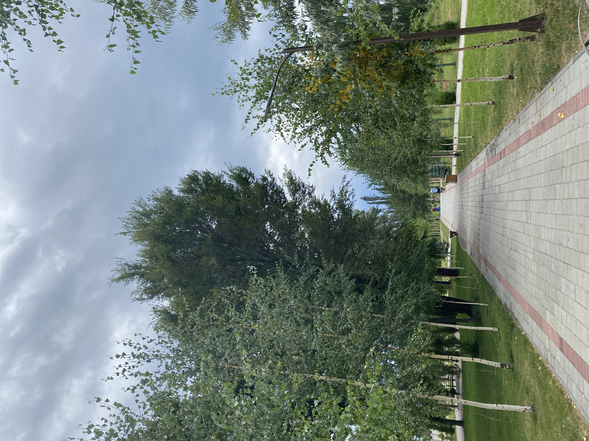 The image depicts a paved walkway lined with trees and green grass in Cholpon-Ata, Kyrgyzstan. The walkway is constructed of gray interlocking bricks with a red border. On the left side of the walkway, a row of slender trees with white bark and green leaves stands tall, casting shadows on the grass. Further back, a larger, denser tree with dark green foliage dominates the scene. On the right side, another line of trees, some showing hints of yellowing leaves, is visible, with a lamppost positioned among them. In the distance, a few people can be seen walking and cycling on the path. The sky above is overcast with gray clouds, suggesting a potentially rainy or gloomy day. The environment appears to be a park or recreational area, designed for public use with benches visible in the background.