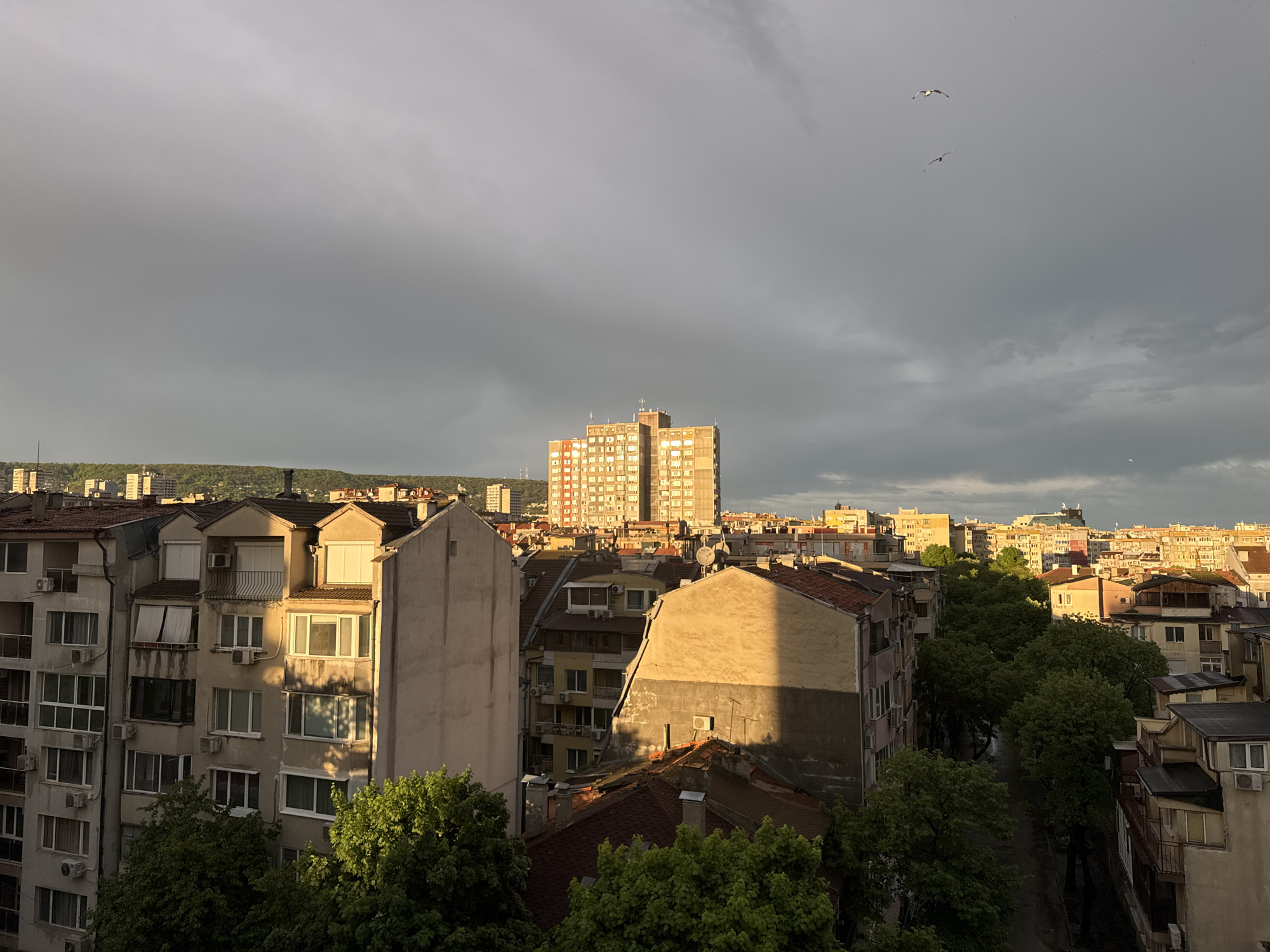 The image shows a cityscape under a cloudy sky. In the foreground, there are several buildings of various heights, with light reflecting off the sides. Some trees are interspersed among the buildings. In the background, additional buildings are visible, stretching towards the horizon, with a strip of greenery visible far back. Two birds are flying in the sky. The location appears to be an urban area with residential and commercial buildings.