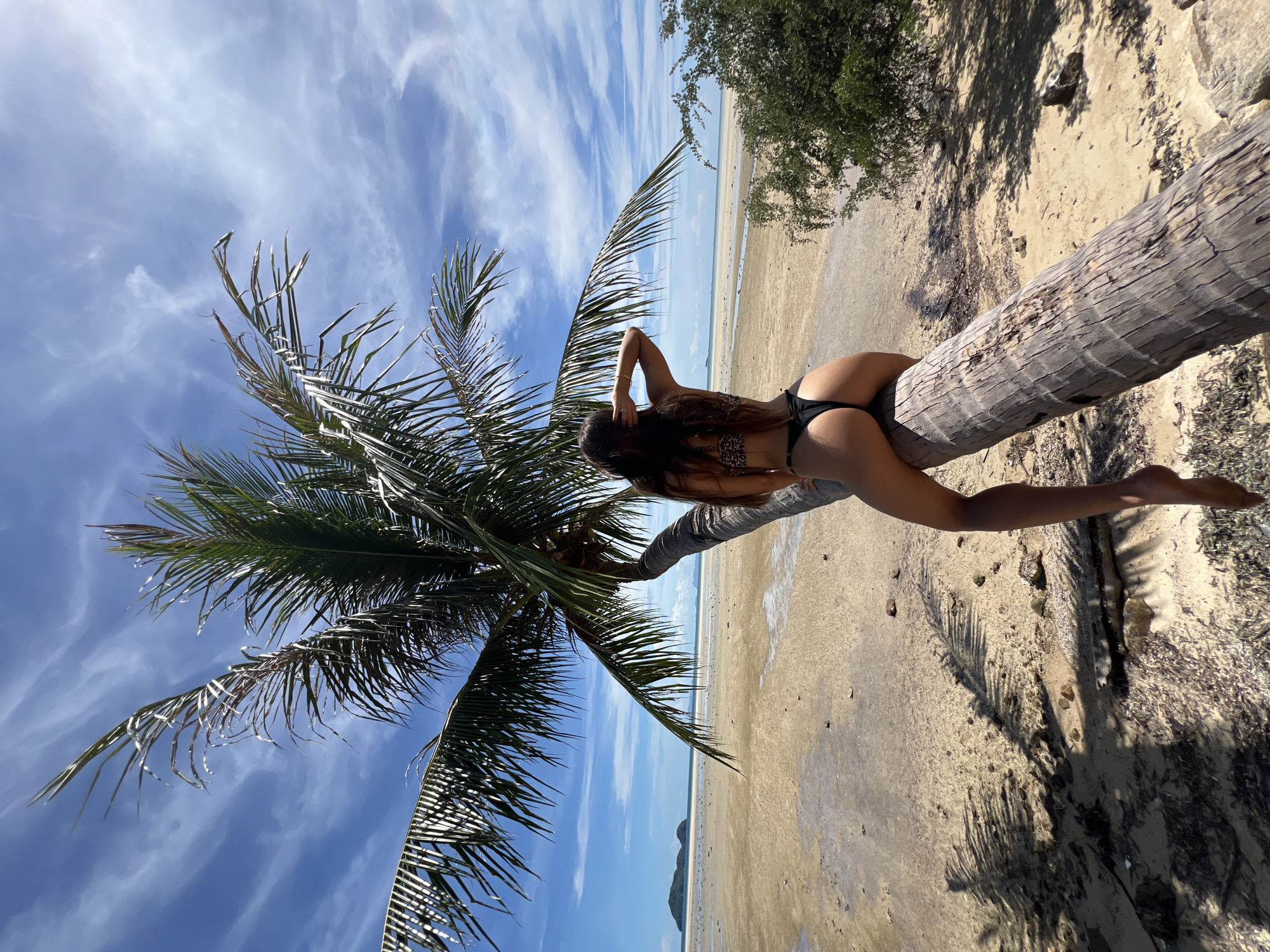 A young woman in a leopard-print bikini sits on a fallen palm tree on a sandy beach in Koh Phangan, Thailand. The woman is facing away from the camera, with her right hand resting on her head. The palm tree is curved, with its fronds creating a canopy over the woman. The beach is sandy and appears to be at low tide, with shallow water and some rocks visible. In the background, there is the ocean, a distant island, and a blue sky with white clouds. The sun is shining, casting shadows from the palm tree onto the sand.