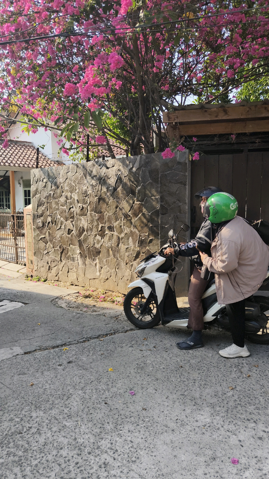 Two individuals are on a white motorcycle parked on a paved road in Bekasi, Indonesia. The person in front is wearing a black helmet and a jacket with "Grab" written on it, and is holding the handlebars. The person in the back is wearing a bright green helmet with the "Grab" logo and a light pink jacket. They are leaning forward, suggesting interaction with the driver or a shared destination. Behind them is a textured stone wall. Above the wall, a tree with abundant bright pink flowers is visible, casting shadows on the wall and road. A residential building with a tiled roof is partly seen to the left of the wall. The ground is a rough asphalt surface with scattered fallen flower petals. The lighting indicates it is daytime, likely morning or afternoon, with sunlight creating distinct shadows.