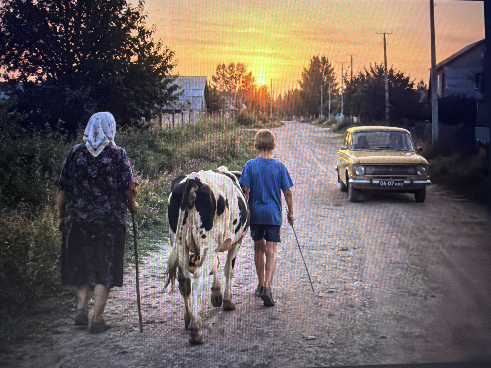 In a rural setting at sunset, an elderly woman and a young boy are walking down a dirt road, herding a cow. The woman, dressed in a dark floral dress and a white headscarf, carries a stick. The boy, wearing a blue t-shirt and shorts, also holds a stick and walks behind the cow, which is black and white. A yellow vintage car is parked on the right side of the road, facing away from the viewer. In the background, trees line the road, and a few houses are visible. The sky is filled with warm, orange and yellow hues, indicating either sunrise or sunset. The overall mood appears peaceful and serene, capturing a moment of everyday life in a rural community. The license plate on the car reads "04-07 KXO".