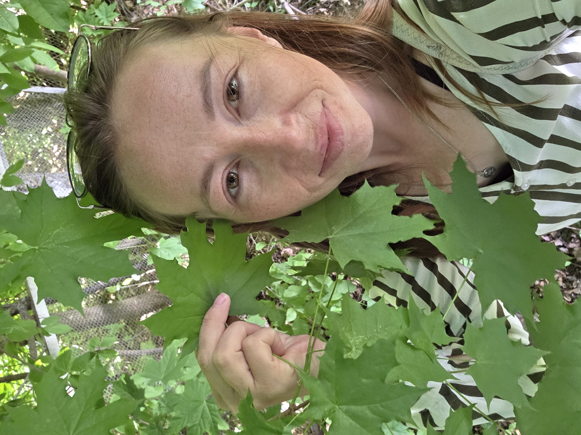 A woman with light skin, freckles, and brown hair is looking at the camera with a slight smile. She is wearing a white and brown striped shirt and a necklace with a silver pendant. Sunglasses are resting on top of her head. She is holding a green maple leaf with her right hand, and several other maple leaves surround her. In the background, there is a chain-link fence and more greenery. The location is likely in a park or wooded area, but I can't confirm the specific city of Chaikovsky, Russia from the image alone.