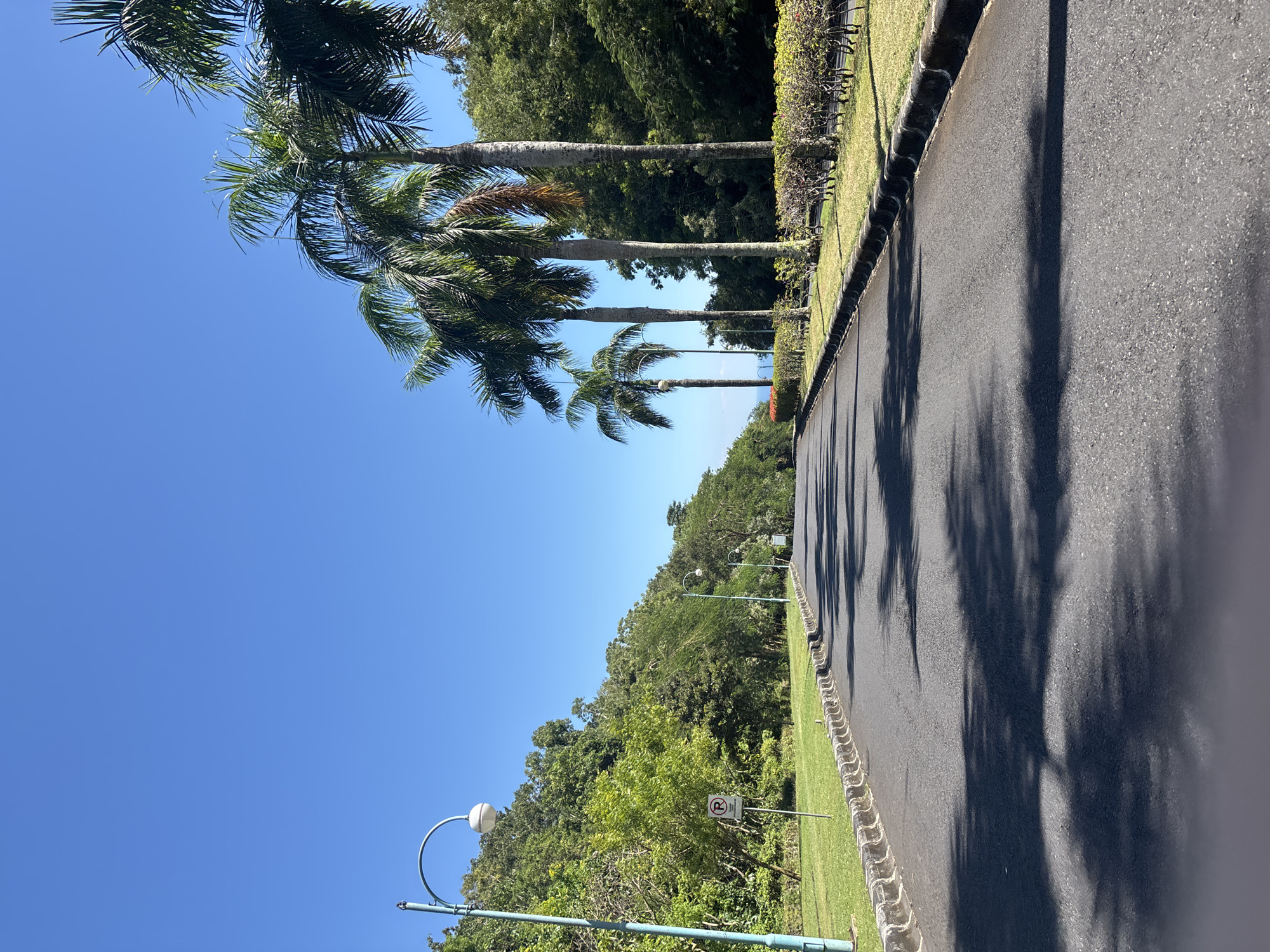 The image shows a paved road with palm trees lining one side. The road is surrounded by greenery. The sky is clear and blue. The location is Pecatu, Indonesia.
