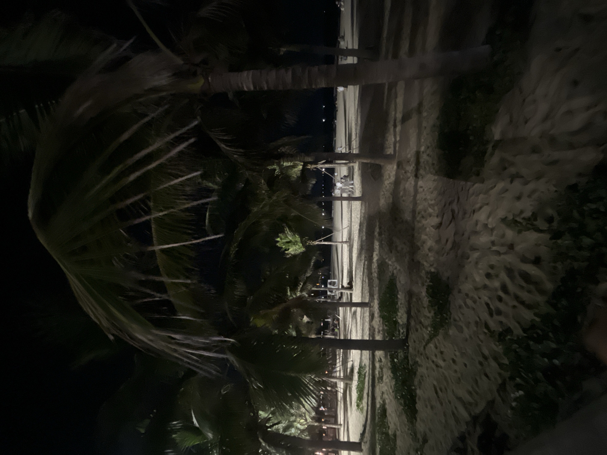 This is a nighttime, vertical-oriented photograph taken at a beach in Da Nang, Vietnam. The foreground is dominated by palm trees with their fronds blurred, suggesting movement perhaps due to wind. In the background, beyond the palm trees, a sandy beach stretches out. A row of palm trees stand planted on the beach, and further in the distance, there are several small figures of people, along with some beach chairs and small tables, indicating a resort or restaurant area. The lighting is dim, casting a shadow over much of the scene, typical of nighttime illumination. Small, scattered lights are visible in the far distance, possibly from buildings or further along the coastline. The overall mood is dark and somewhat serene, highlighting the tropical nighttime ambiance of the beach. There is no visible text in the image.