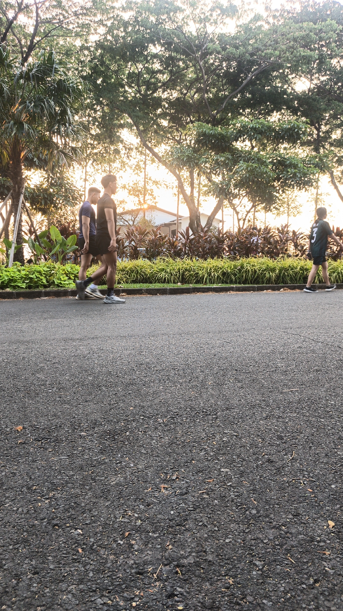 The image depicts an outdoor scene, likely a park or a residential area with greenery, featuring three individuals. Two men are walking side-by-side on an asphalt path, dressed in athletic wear. The man on the left wears a dark blue t-shirt and black shorts, while the man on the right wears a black t-shirt and black shorts. Both are wearing athletic shoes. Further down the path, a third individual, wearing a dark green athletic jersey with the number "3" on the back and black shorts, is walking away from the camera. The background is characterized by lush foliage, trees, and a building visible through the trees, suggesting a well-maintained outdoor space. The lighting indicates it is either sunrise or sunset, with the sun casting a warm glow through the leaves. There is no indication of the specific location in Bacin, Indonesia, within the image itself.