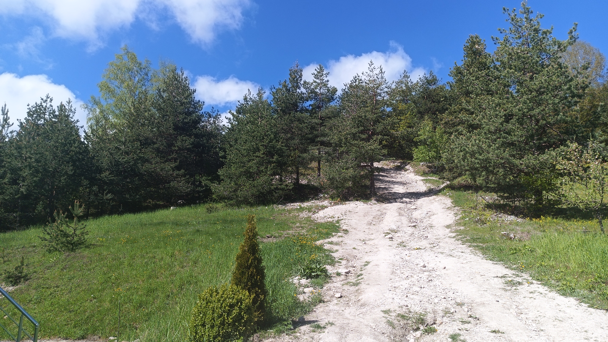 The image depicts a dirt road leading uphill through a grassy area and into a forest. The location is identified as Sini Vrah, Bulgaria. The sky is blue with scattered white clouds. Various trees are present, with some appearing to be pines. The dirt road is light in color and shows signs of wear. The grassy area is green with some small shrubs and plants. A metal handrail is visible at the bottom left corner of the frame. No people or animals are visible in the image.