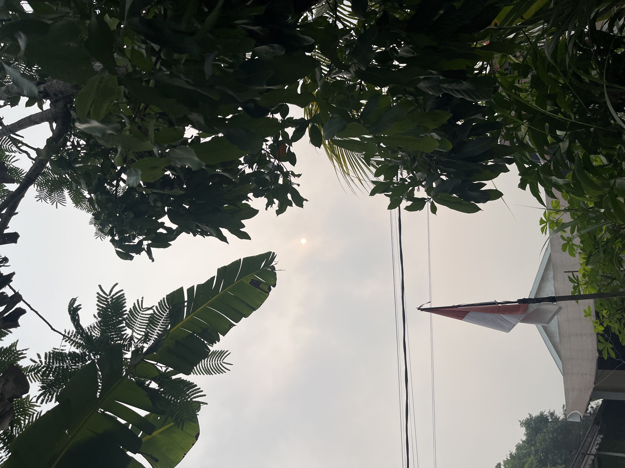 The image captures an outdoor scene in Meliau Hulu, Indonesia. The sky is overcast, with a hazy sun visible in the upper center. Lush green foliage from various trees, including large banana leaves and smaller, serrated leaves, frames the sky from the top left and right. In the foreground, a flag pole with the Indonesian flag, a red and white bicolor, is positioned slightly to the left of the frame. The flag appears to be partially unfurled and hanging limply. Below the flag, the roofline of a building with a light-colored facade is visible. Electrical wires run horizontally across the middle of the image, behind the flag and in front of the sky. The overall impression is one of a slightly hazy, possibly humid day in a semi-urban or residential area with abundant vegetation.