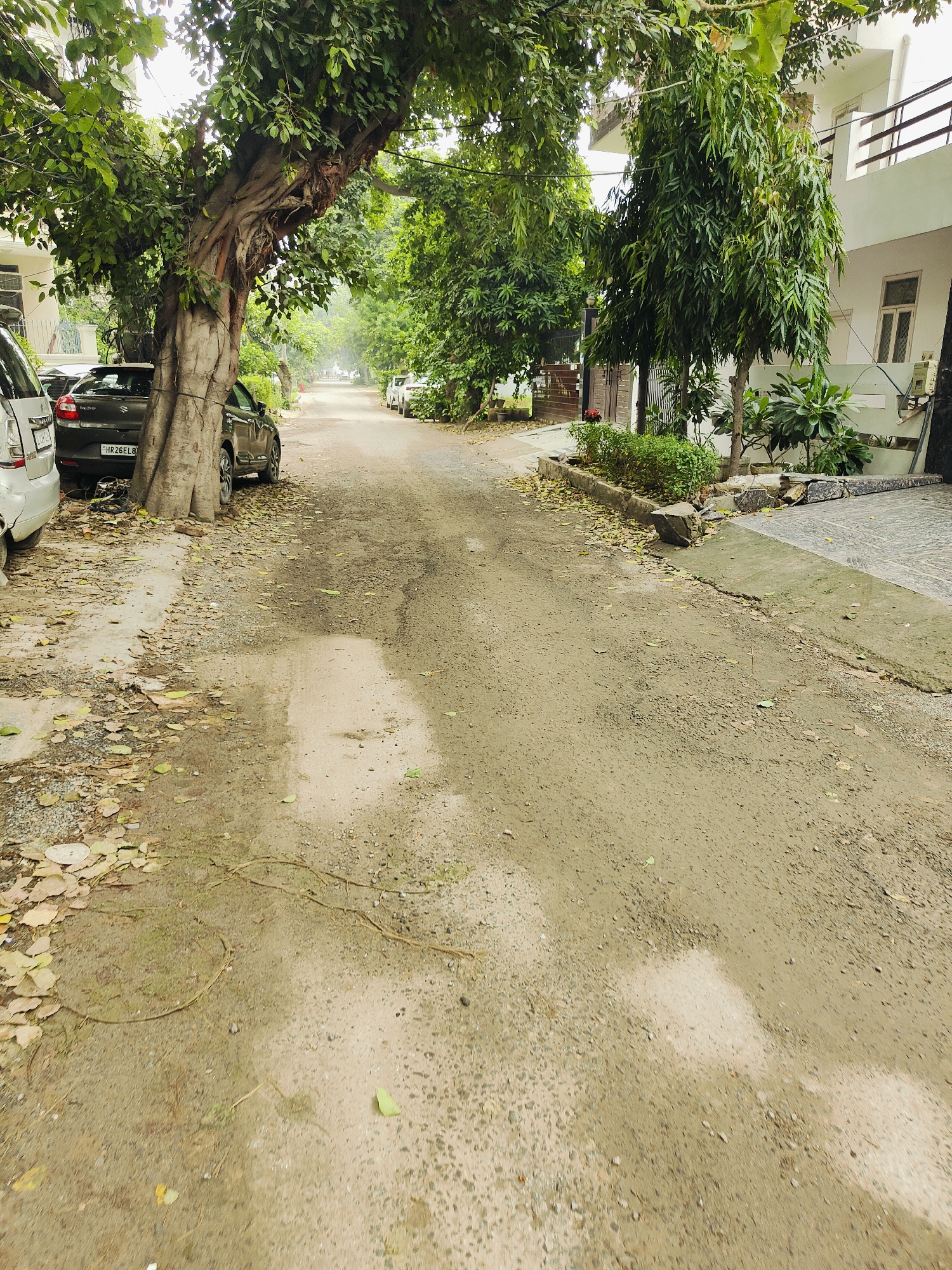 The image depicts a street scene in Gurgaon, India, characterized by a dusty, unpaved road lined with trees and residential buildings. A large, gnarled tree with exposed roots dominates the left side of the frame, its branches extending over the road. Parked cars, including a dark colored sedan with a visible license plate (HR 26 EL 8), are present along the side of the road. The environment appears somewhat overgrown, with fallen leaves scattered on the ground. In the background, other parked vehicles and residential structures are visible, suggesting a suburban or residential area within Gurgaon. The overall impression is one of a quiet, tree-lined street, typical of many neighborhoods in the city.