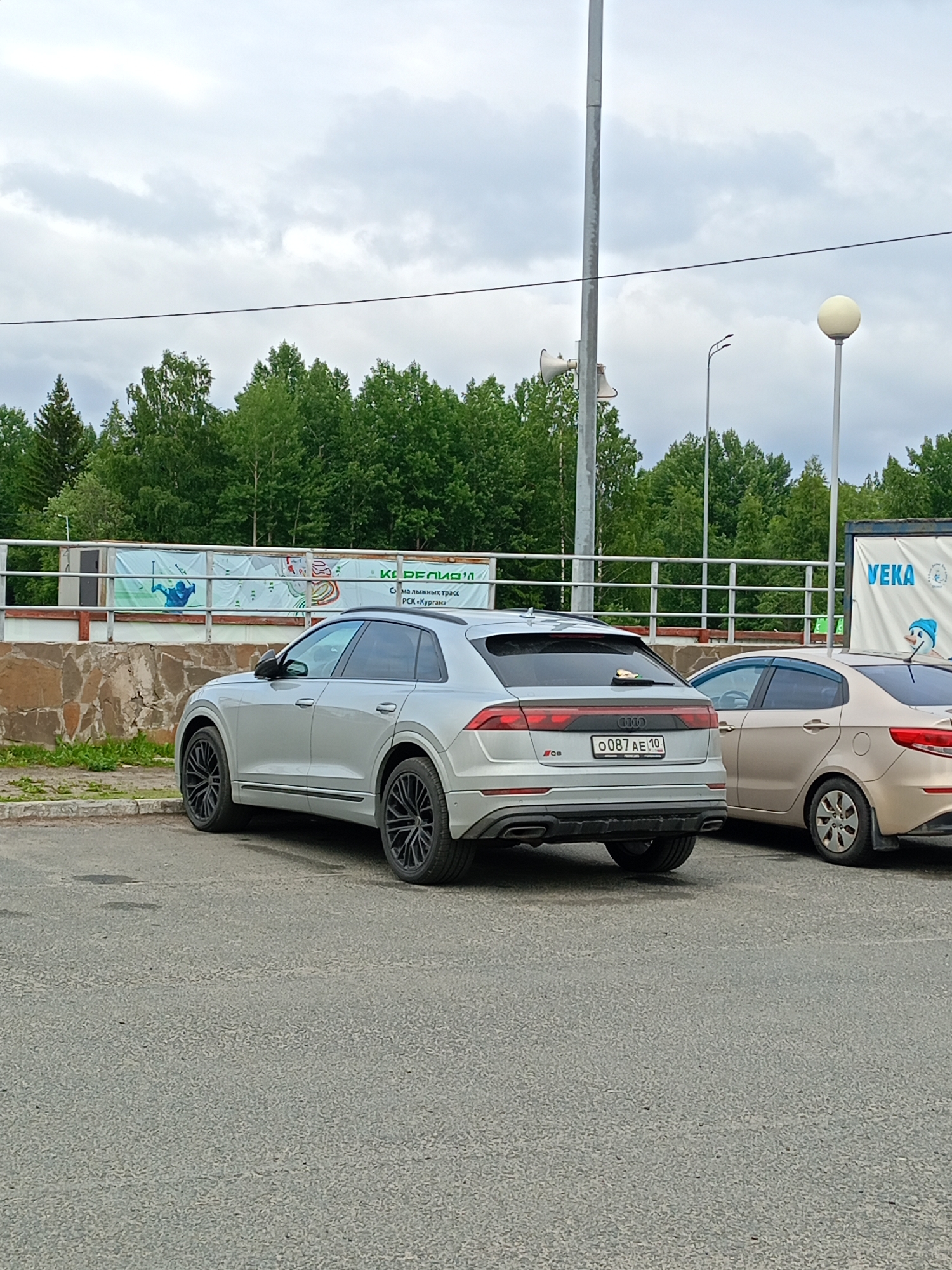 An exterior shot captures a silver Audi SUV parked on an asphalt lot. The SUV is positioned in the foreground, angled slightly towards the right, with its rear facing the viewer. A smaller beige sedan is parked to the right of the Audi. In the background, a stone wall runs horizontally, topped by a white fence and a banner with Russian text and an image of a skier. Beyond the fence, a dense line of green trees stretches across the landscape. The sky above is overcast with gray clouds. A tall lamppost with speakers is visible to the left of the scene, and a spherical streetlamp stands to the right. The scene appears to be an outdoor recreational area or a parking lot adjacent to a sports facility.