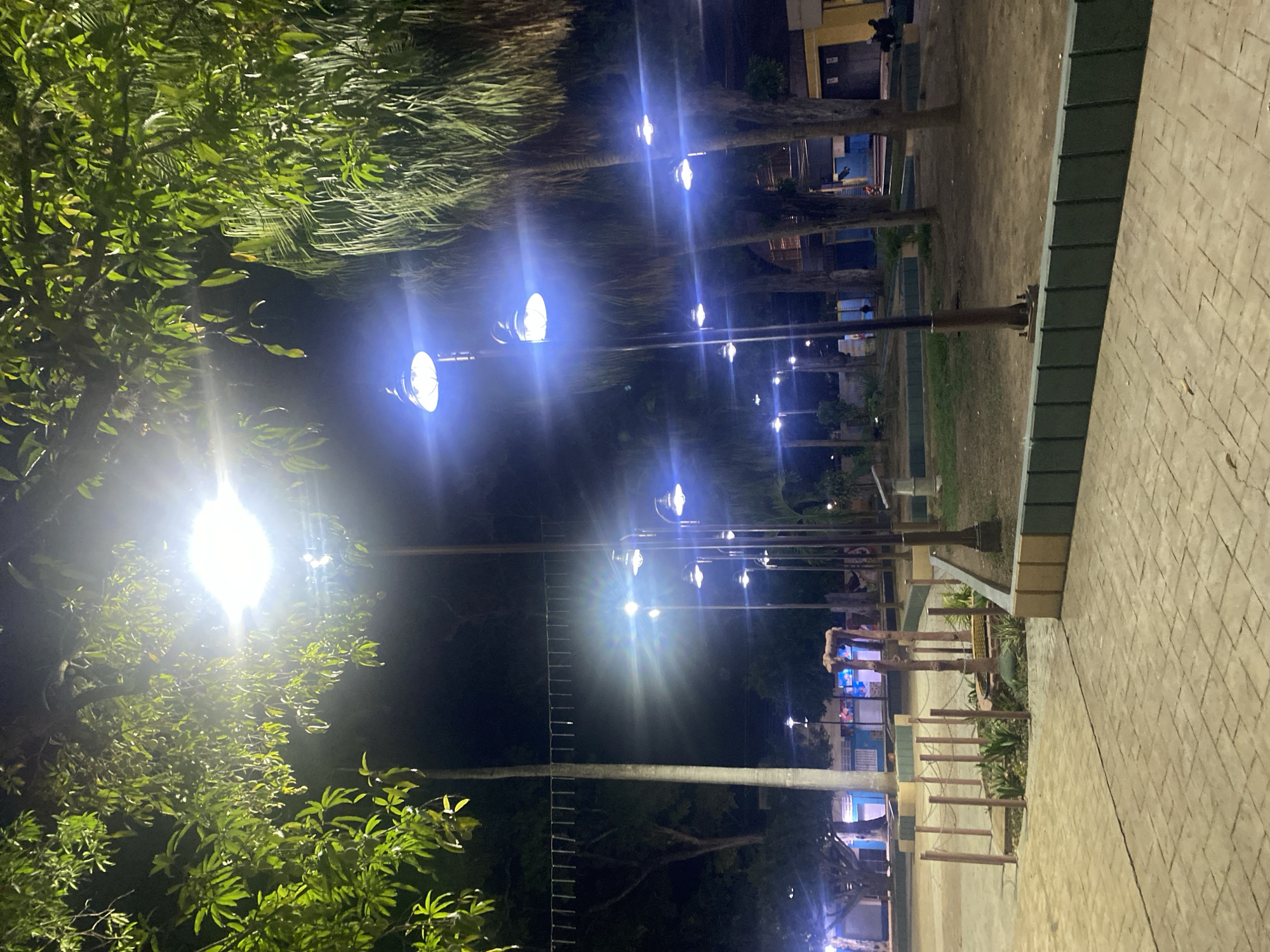 This nighttime image depicts a row of illuminated streetlights lining a pedestrian pathway in Tinaquillo, Venezuela. Lush, dark green trees obscure some of the lights and the darkness of the night sky. The pathway is paved with bricks and bordered by a low, green-painted curb. Further back, there is a playground area, and buildings can be seen in the distance. The artificial lighting is intense, causing bright flares around the light sources.