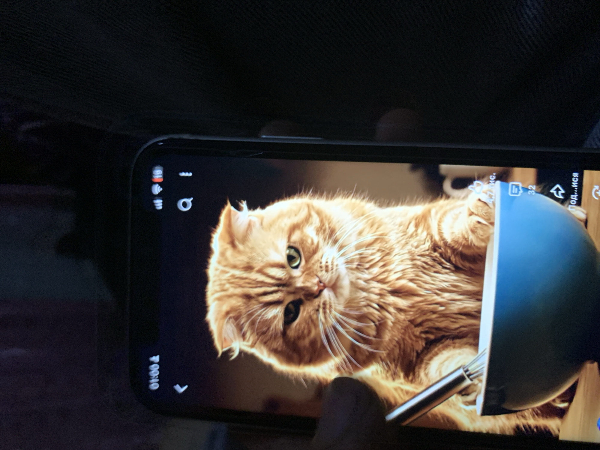 A close-up image shows a smartphone displaying a video of a fluffy, orange cat. The cat has folded ears and is looking directly at the camera with a slightly grumpy expression. It is positioned in front of a blue bowl, with a whisk held in its paws, suggesting it is in the process of mixing something. The phone screen also displays various interface elements, including a timestamp "01:00", network signal indicators, a search icon, and social media interaction buttons with numbers indicating likes and comments. The background of the video appears to be a dimly lit room. The smartphone itself is held at an angle, with a person's finger visible on the left side of the screen. The image quality is slightly grainy, indicating it was taken with another device. There is no discernible information related to the city of Zhmerynka, Ukraine, within the image content.