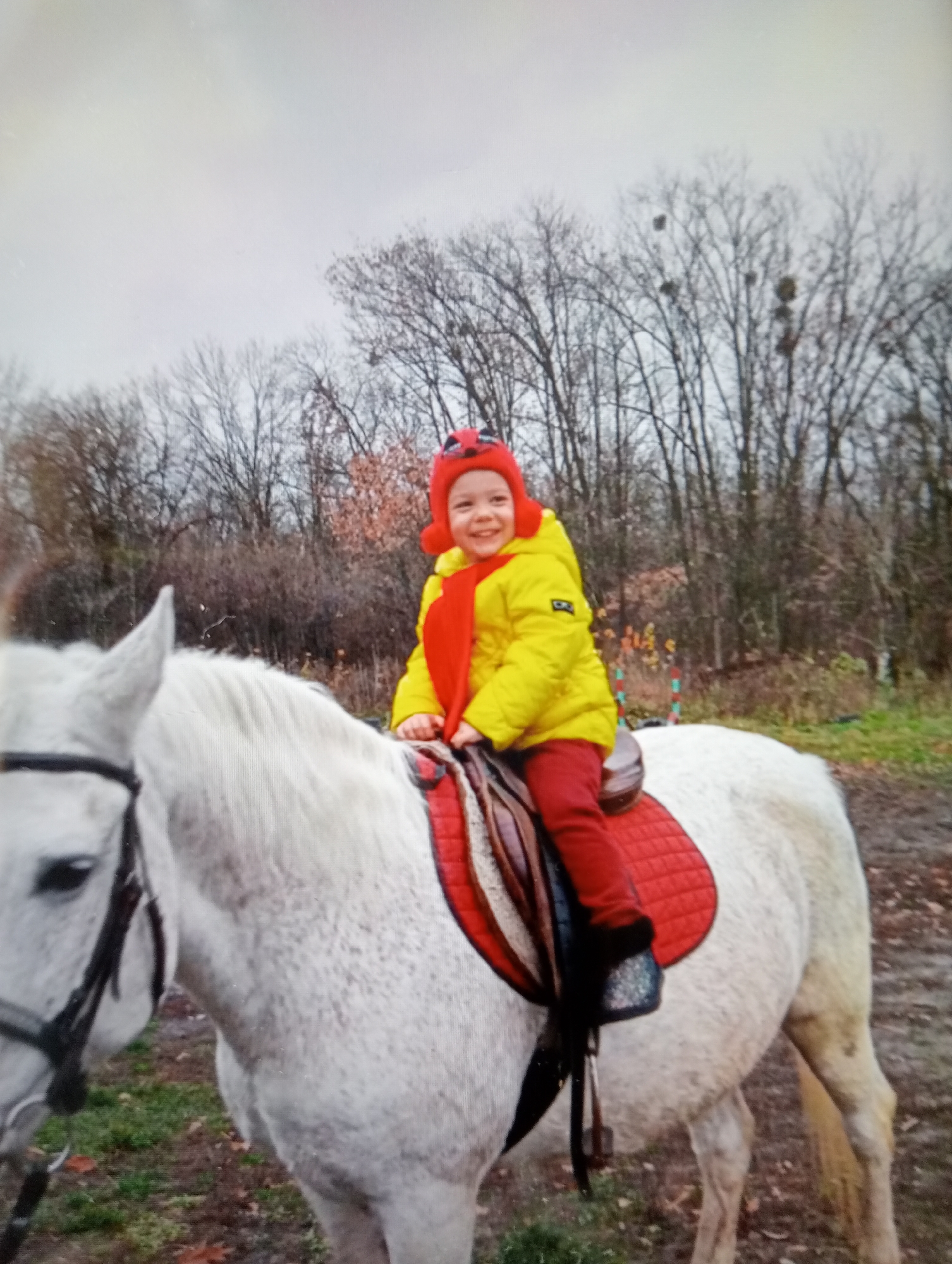 A young child, wearing a red hat with ladybug details, a yellow puffer jacket, and red pants, sits on a white horse. The child has a bright smile and appears to be enjoying the experience. The horse is equipped with a black bridle and a red saddle pad. The background consists of a wooded area with bare trees, suggesting an autumn or winter setting. The sky is overcast, indicating a cloudy day. The ground is covered with fallen leaves and some patchy grass. The overall scene conveys a sense of childhood joy and adventure outdoors.