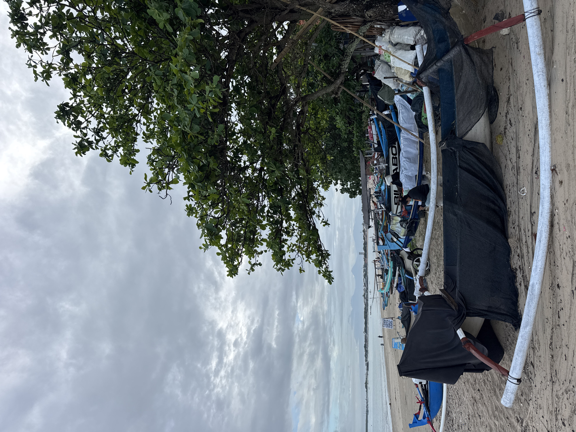 The image, taken in Kuta Selatan, Indonesia, depicts a tranquil beach scene under an overcast sky. On the left, a large, leafy tree with dark green foliage extends its branches across the upper portion of the frame. Beneath the tree and stretching along the sandy shore are numerous small, traditional outrigger boats, many partially covered with black tarps or fabric, suggesting they are either stored or awaiting use. Some of the boats feature white outriggers and blue details, with the word "SILABO" visible on the side of one vessel. Behind the boats, near the base of the tree, piles of white sacks or debris are present.
In the mid-ground, a few indistinct figures of people are visible near the beached boats, hinting at activity such as maintenance or preparation. The sandy beach extends towards the right, meeting the calm waters of the sea, which stretches to a hazy horizon. In the far distance, faint outlines of land or mountains are visible. The cloudy, grey sky covers a significant portion of the image, indicating overcast weather without direct sunlight, contributing to a muted and calm atmosphere.