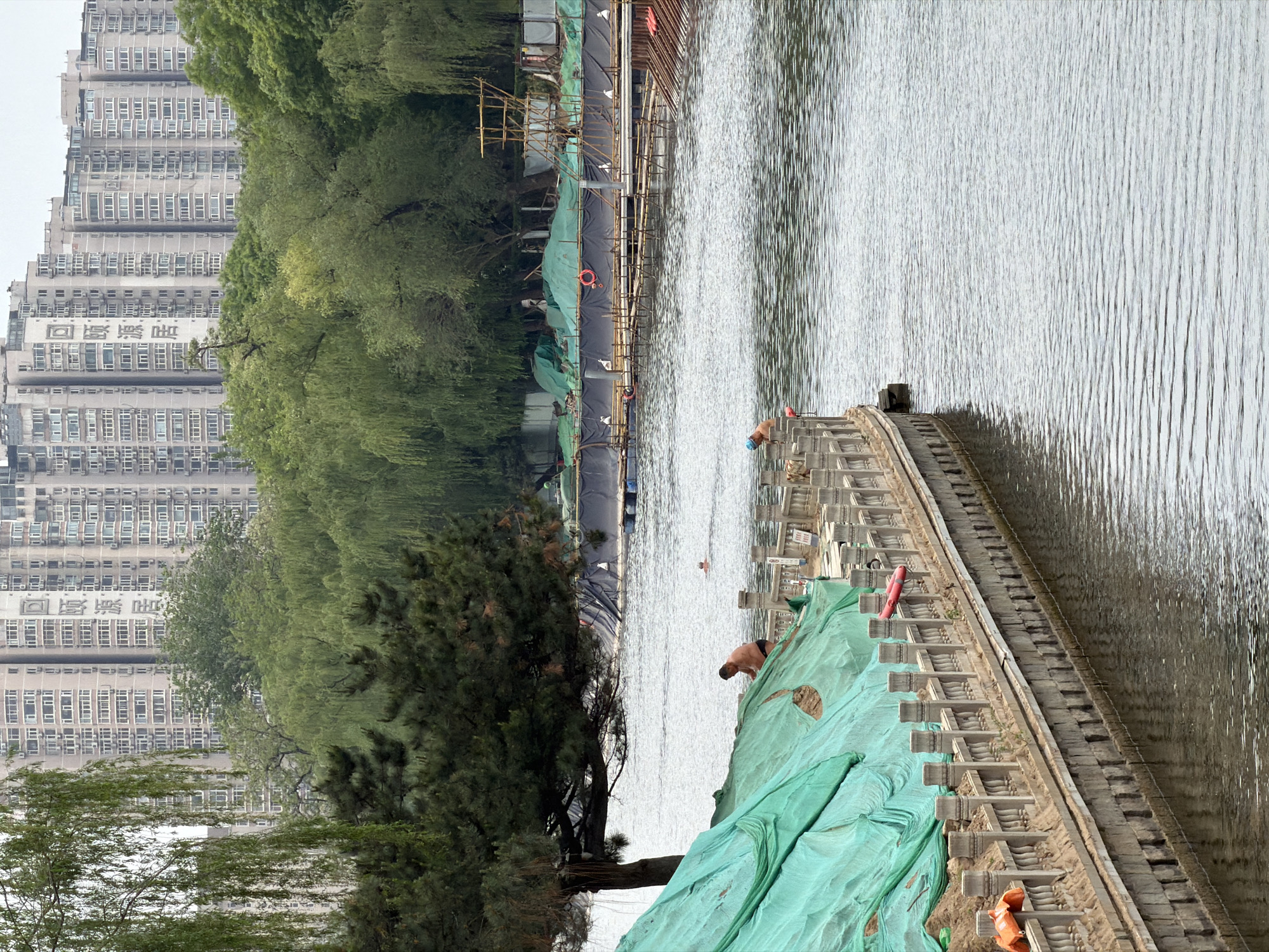The image shows a construction site along a body of water with residential buildings visible in the background. The location is in the Haidian District of China.
Along the water's edge, a concrete structure is under construction, partially covered with green tarps. Two individuals are present near this structure. One appears to be standing on it, while another is visible in the water. A third is visible further along the construction site near the water’s edge.
The background features tall, high-rise residential buildings situated near a line of trees. The water surface shows visible ripples and reflections.