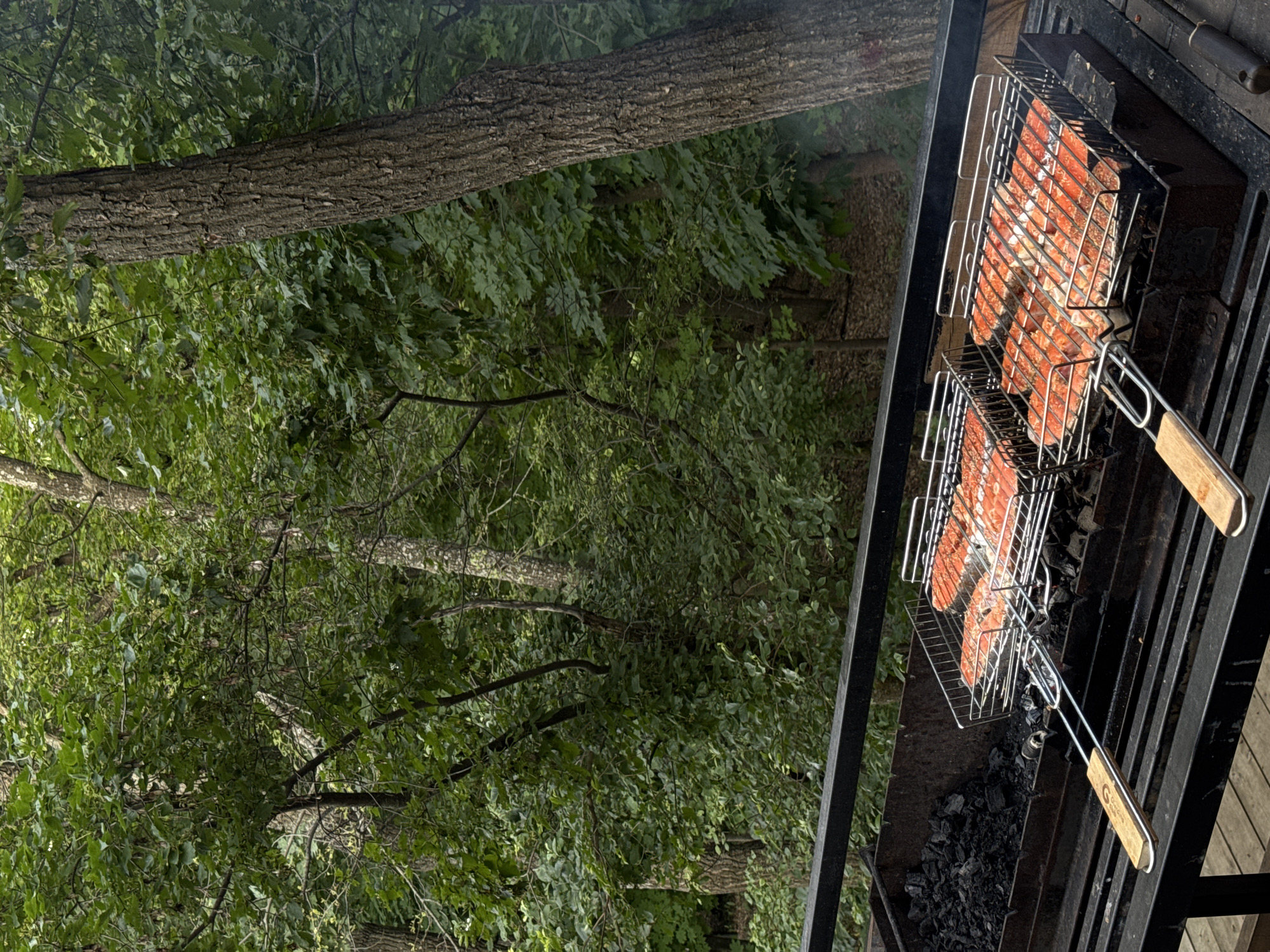 The image depicts an outdoor grilling scene set against a backdrop of lush green foliage and trees, consistent with a natural environment such as that found in Ust-Kurdyum, Russia. In the foreground, a large, industrial-style barbecue grill is laden with hot coals. Positioned on the grill are two metal fish baskets, each filled with multiple pieces of raw salmon, seasoned and prepared for cooking. The salmon pieces are uniformly cut and arranged in neat rows within the baskets. The grill itself is constructed of dark metal, with a sturdy frame and a wooden railing visible in the upper section, separating the grill area from the surrounding greenery. The surrounding environment is dense with various shades of green from trees and bushes, suggesting a wooded or park-like setting. The lighting indicates it is daytime, with the natural light filtering through the leaves. There are no people visible in the frame.