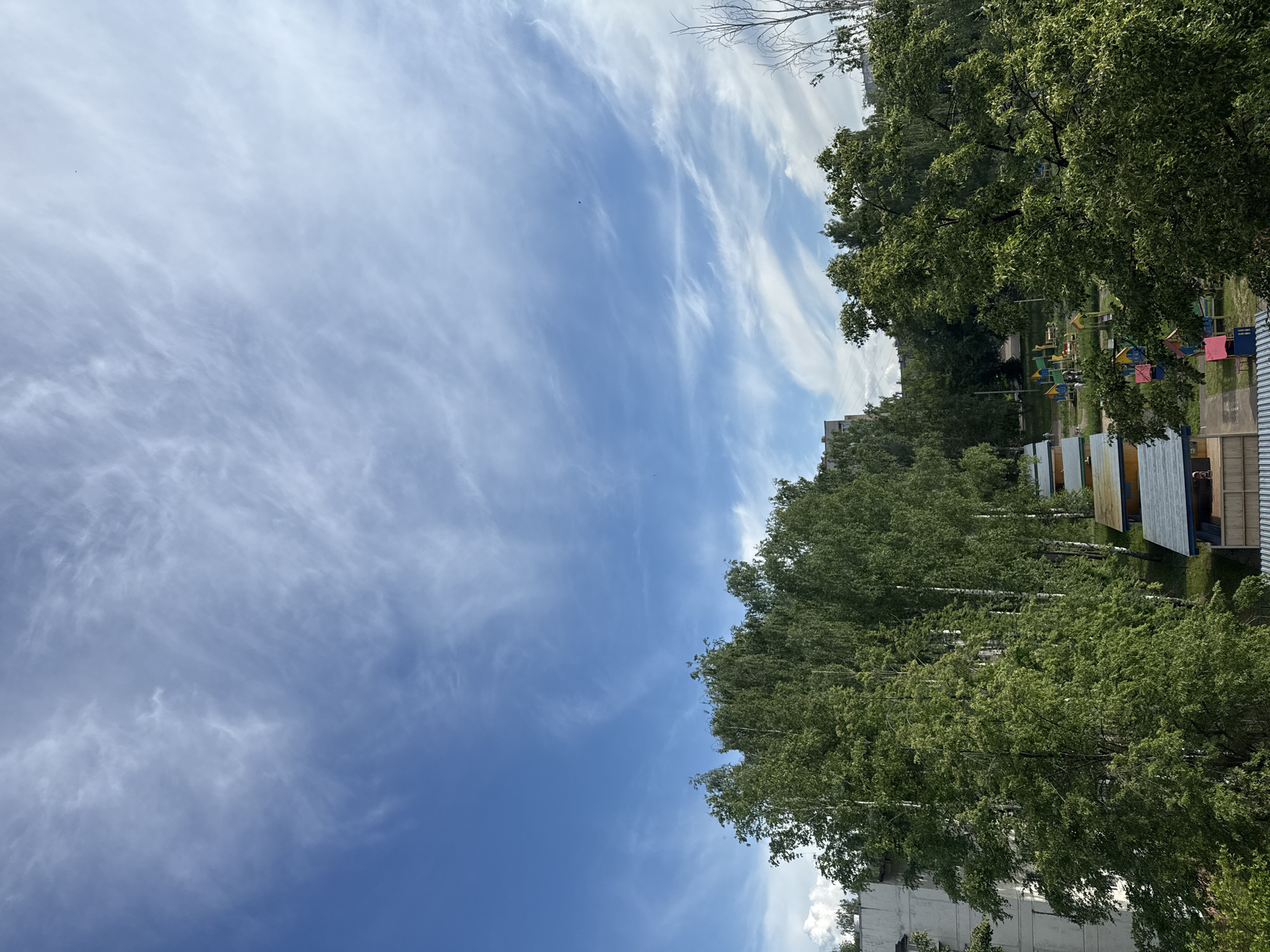 The image captures a bright, outdoor scene dominated by a clear blue sky interspersed with sweeping, wispy white clouds, characteristic of cirrus or cirrocumulus formations. The lower portion of the frame is filled with lush, green foliage from numerous deciduous trees, many of which appear to be birches with their distinctive light-colored trunks visible through the leaves.
Through the dense canopy of trees and in the mid-ground, elements of an urban setting are apparent. A tall, light-colored concrete building, possibly residential, is partially visible on the right side. An area featuring an array of colorful structures, including panels or roofs in shades of red, blue, yellow, and green, suggests a playground or a cluster of small market stalls. A faint human figure is vaguely discernible in the background near these colorful structures. Small, dark specks, possibly birds, can be seen in the sky.
The bright daylight indicates it is likely midday or early afternoon, under sunny and pleasant weather conditions. The scene presents a blend of natural greenery and urban architecture, consistent with a residential area in a city like Chaikovsky, Russia. No discernible text is visible within the image. The overall atmosphere is calm and serene.