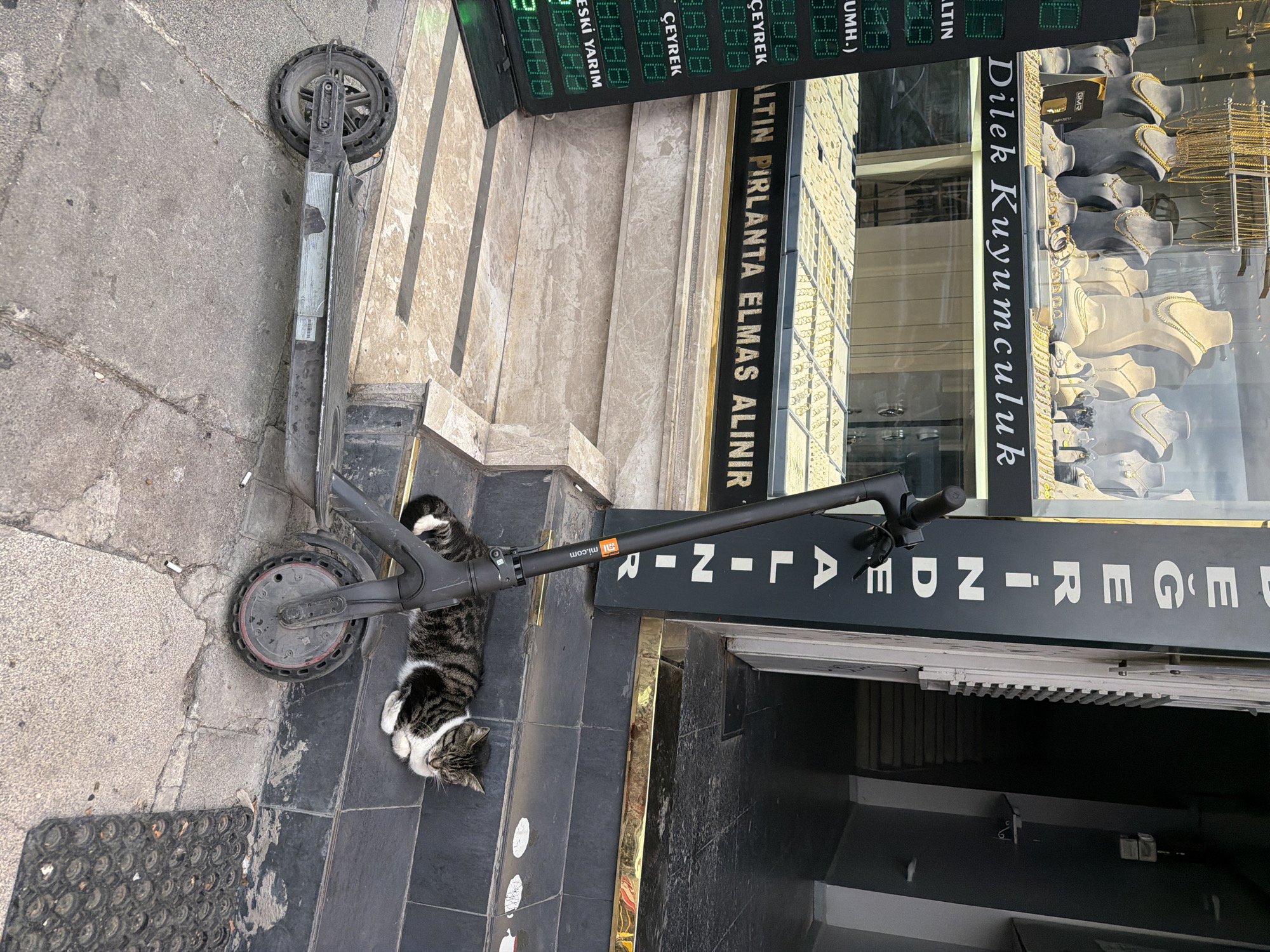 The image shows a street scene in Kadıköy, Turkey, specifically in front of a jewelry store named "DİLEK KUYUMCULUK". A black electric scooter is parked on the sidewalk, leaning against a dark gray step. To the right of the scooter, a tabby cat is sleeping peacefully on the step, with its front paws tucked under its chest and its eyes closed. The jewelry store window displays an array of gold necklaces and other jewelry pieces. A digital display board showing currency exchange rates is visible to the left of the scooter. The overall environment appears to be an urban street with a building entrance and stairs leading inside.