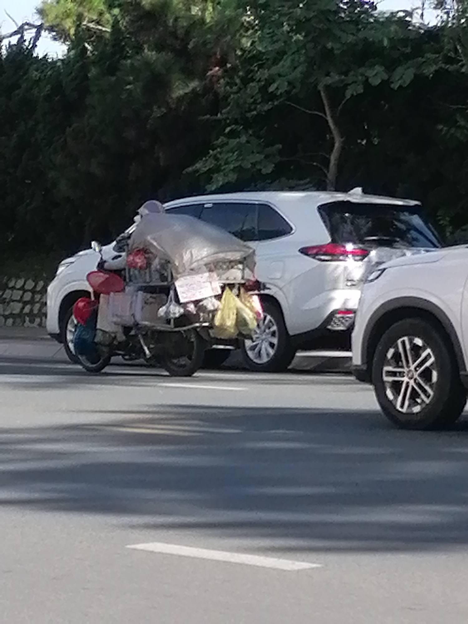In Da Lat, Vietnam, a person on a motorbike, laden with various goods covered in plastic sheeting, is seen near a white SUV. The motorbike, a common mode of transport in the city, is heavily packed, suggesting the person is either traveling or selling goods. The SUV, a modern vehicle, is parked or moving slowly, indicating a busy urban environment. The background features lush greenery, typical of Da Lat's mountainous landscape. The scene depicts a blend of traditional and modern transportation, characteristic of Vietnamese city life.