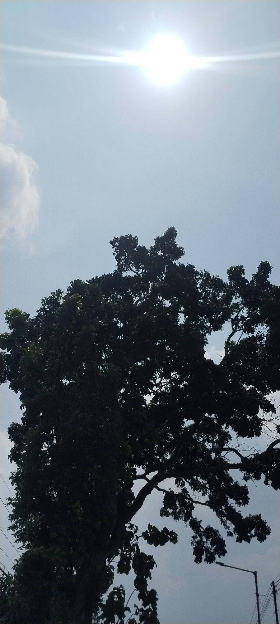 This is a vertical, outdoor, low-angle shot taken during daytime in Godong, Indonesia. The image is dominated by a large, silhouetted tree against a bright, pale blue sky. The sun is high in the sky, positioned in the upper left quadrant, and is causing a lens flare that creates a bright horizontal streak of light. A few wispy clouds are visible in the upper left and lower right of the frame. The branches and dark green leaves of the tree fill the majority of the image from the bottom to the top, obscuring much of the sky. In the lower right quadrant, a portion of a street lamp and some overhead power lines are visible, indicating an urban or suburban setting. There are no people or animals in the frame, and no discernable action is taking place. The overall mood is one of a bright, sunny day, with the dense foliage of the tree casting deep shadows.