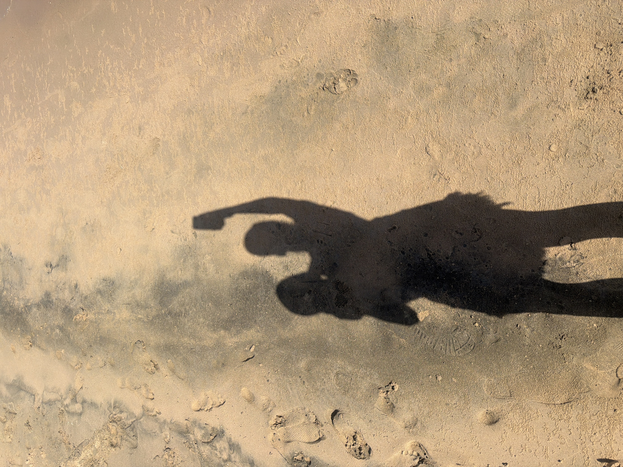The image shows a shadow of two people on a sandy beach. One person is holding a phone, presumably taking a selfie. The sand is wet in some areas, indicating it's close to the water. There are footprints visible in the sand. The location is the shore of Sharm El Sheikh, Egypt, a popular tourist destination known for its beaches and coral reefs.