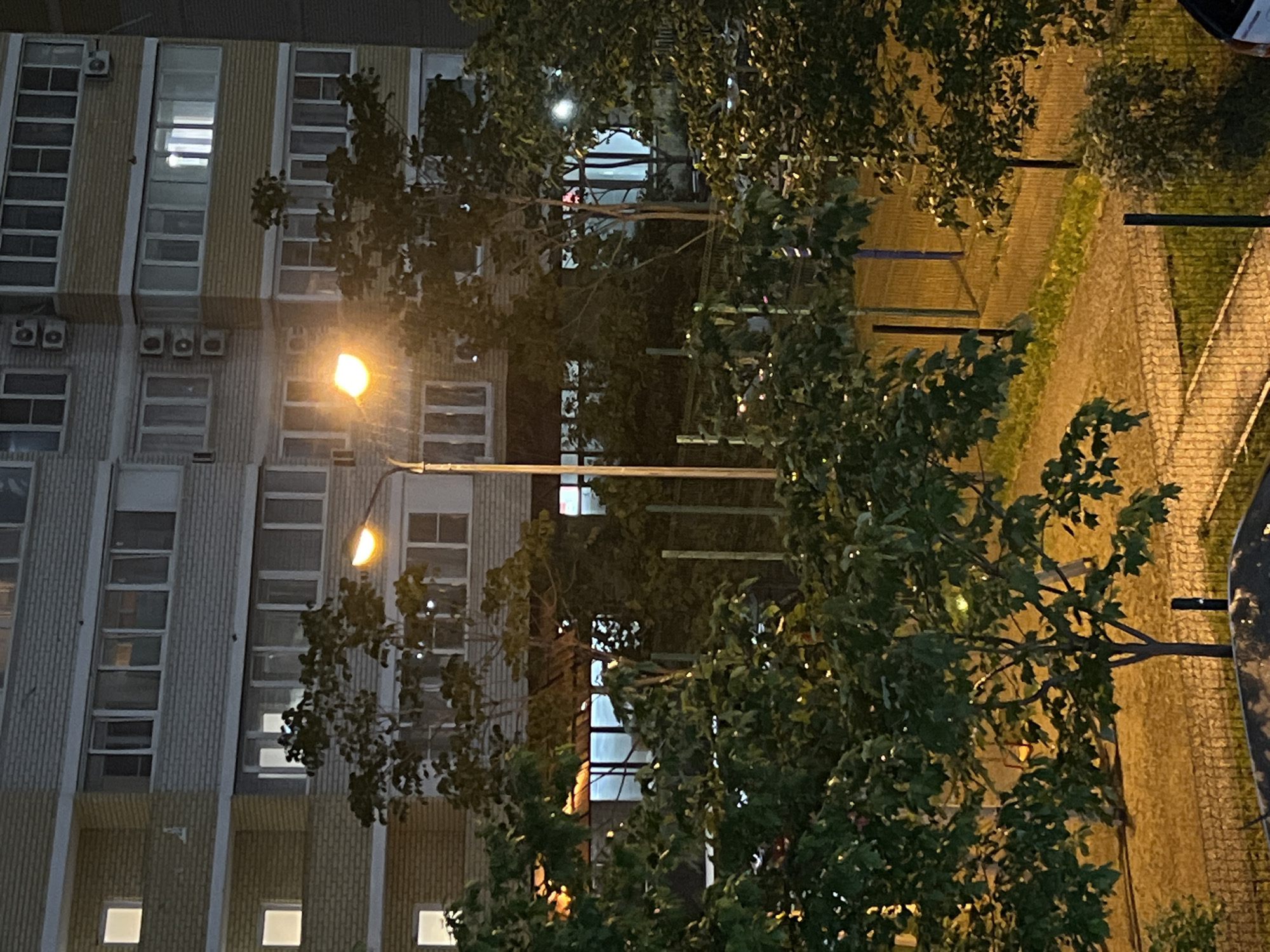 The image shows an apartment building in Krasnodar, Russia, viewed from an elevated position at night. A street lamp illuminates the facade of the building and the surrounding trees. The building is multi-storied with multiple windows, some of which are lit. Air conditioning units are visible on the exterior of the building. A pedestrian walkway is visible to the right, lined with trees and foliage. The overall scene is urban.