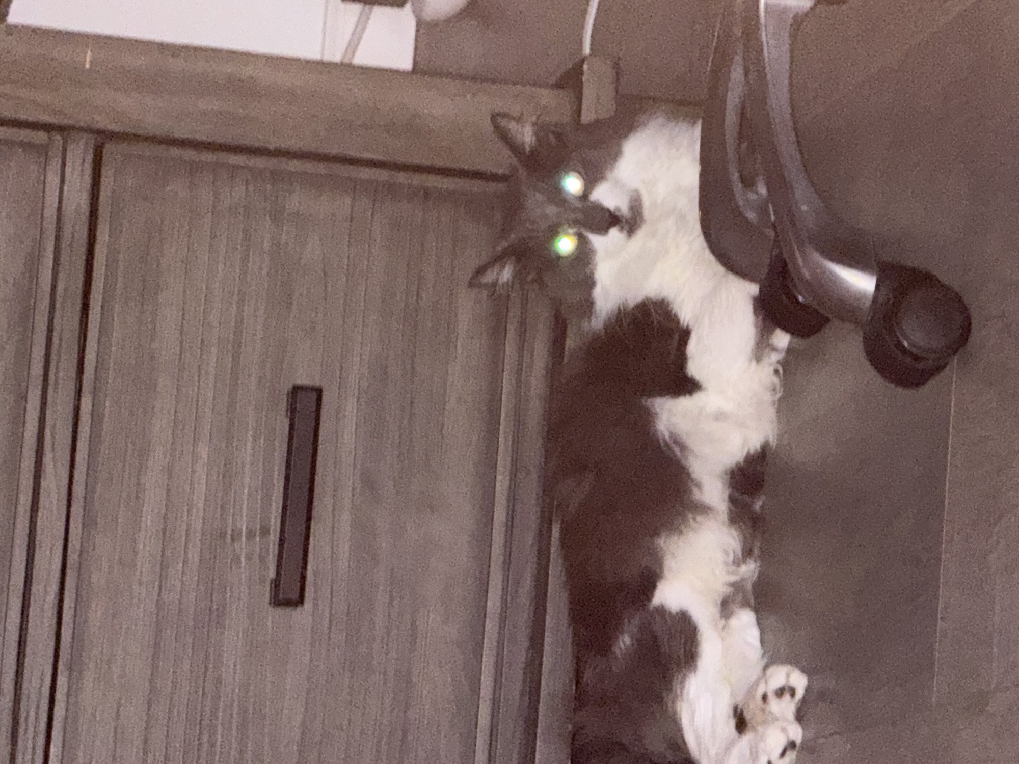 A long-haired, black and white cat with glowing green eyes is lying down on a flat, dark surface, likely a desk or table. Behind the cat, a piece of furniture with a wood-grain finish and a horizontal drawer pull is visible. To the right of the cat, a portion of a black office chair with wheels is in the foreground. The background appears to be a wall. The setting is indoors.