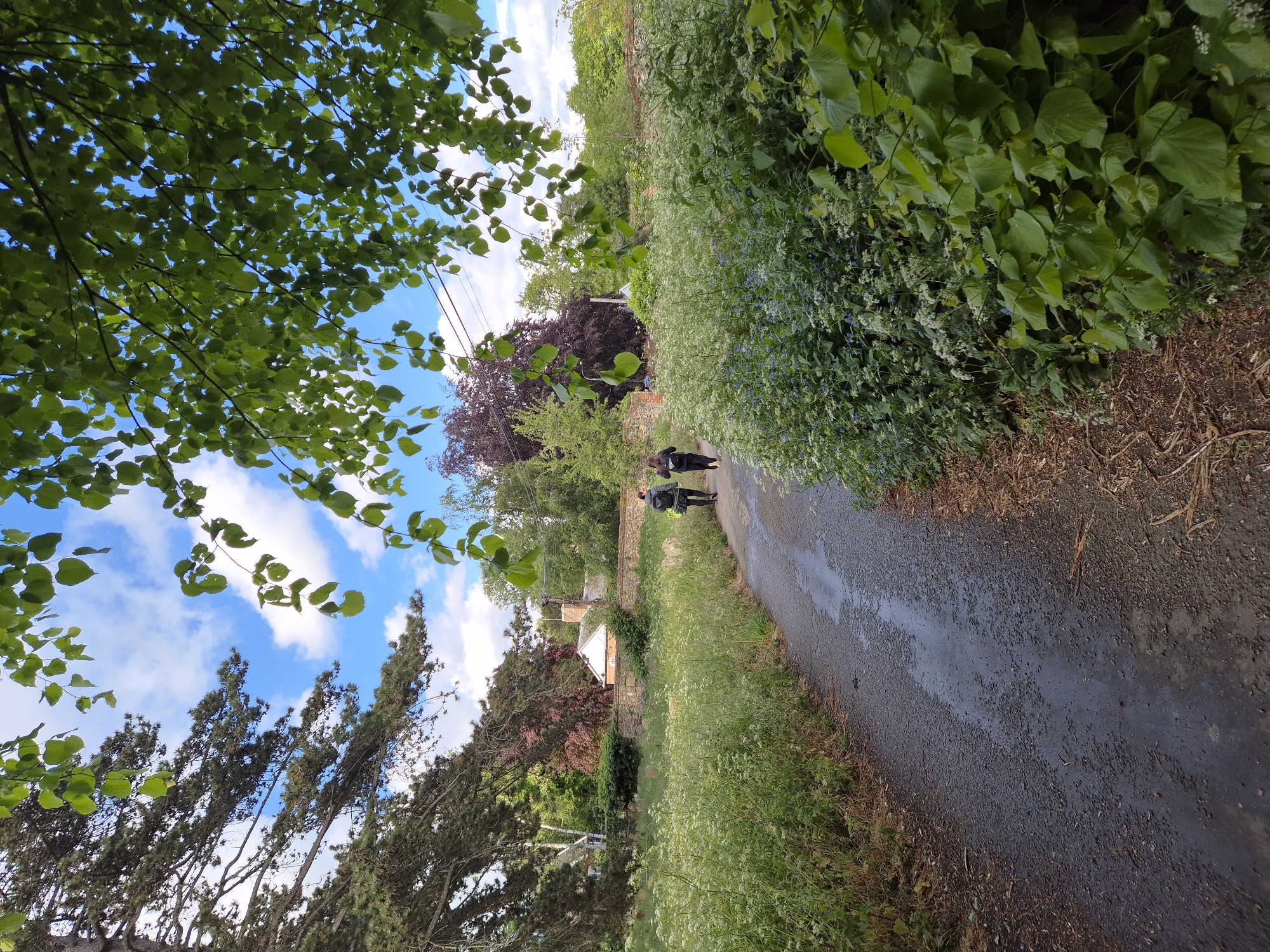 The image shows a rural lane in West Suffolk, United Kingdom. The lane, which appears wet, is bordered by lush vegetation. Two figures are walking along the lane, away from the viewer. A brick wall and a house can be seen behind the figures. Overhead, tree branches with green leaves are visible against a sky with blue patches and white clouds. Additional trees and bushes line the sides of the lane. Powerlines are strung between poles in the distance.