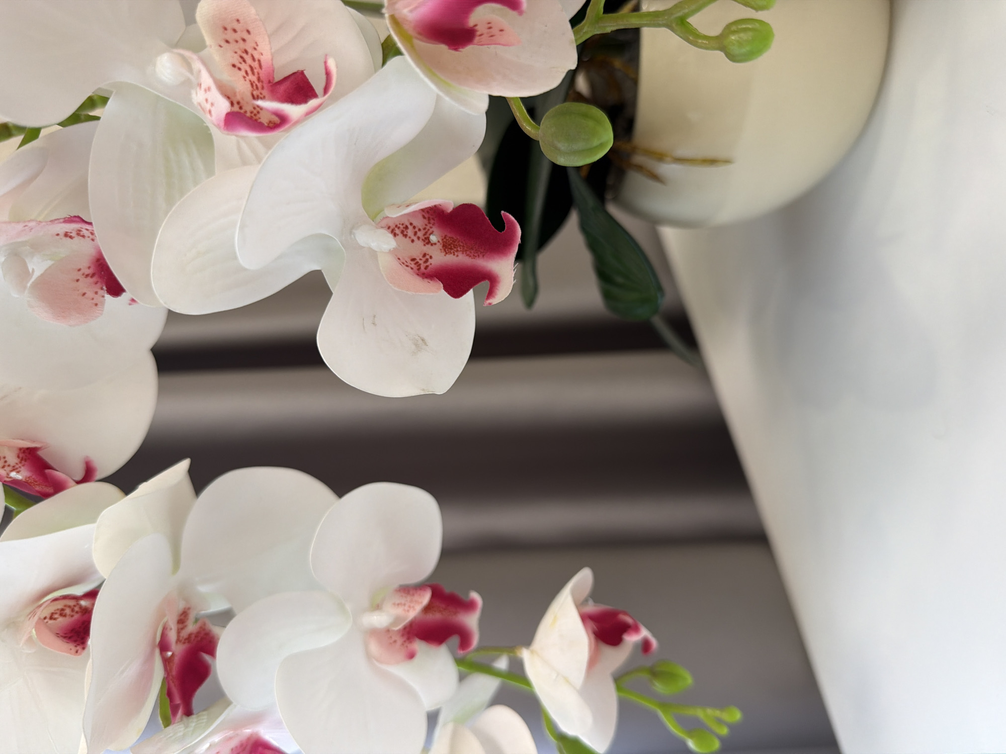 An extreme close-up shot focuses on white orchids with pink centers, some with delicate pink speckles, arranged in a cream-colored pot. The orchids are positioned on the right side of the frame, with stems and green buds visible. In the background, a muted gray curtain is slightly blurred. The foreground features a white surface, possibly a table, with a shallow depth of field that blurs the lower portion of the image. The lighting is soft, highlighting the textures and colors of the flowers. The scene is static and appears to be an indoor arrangement. There are no people or animals present. The location is not specified beyond a general indoor setting.
